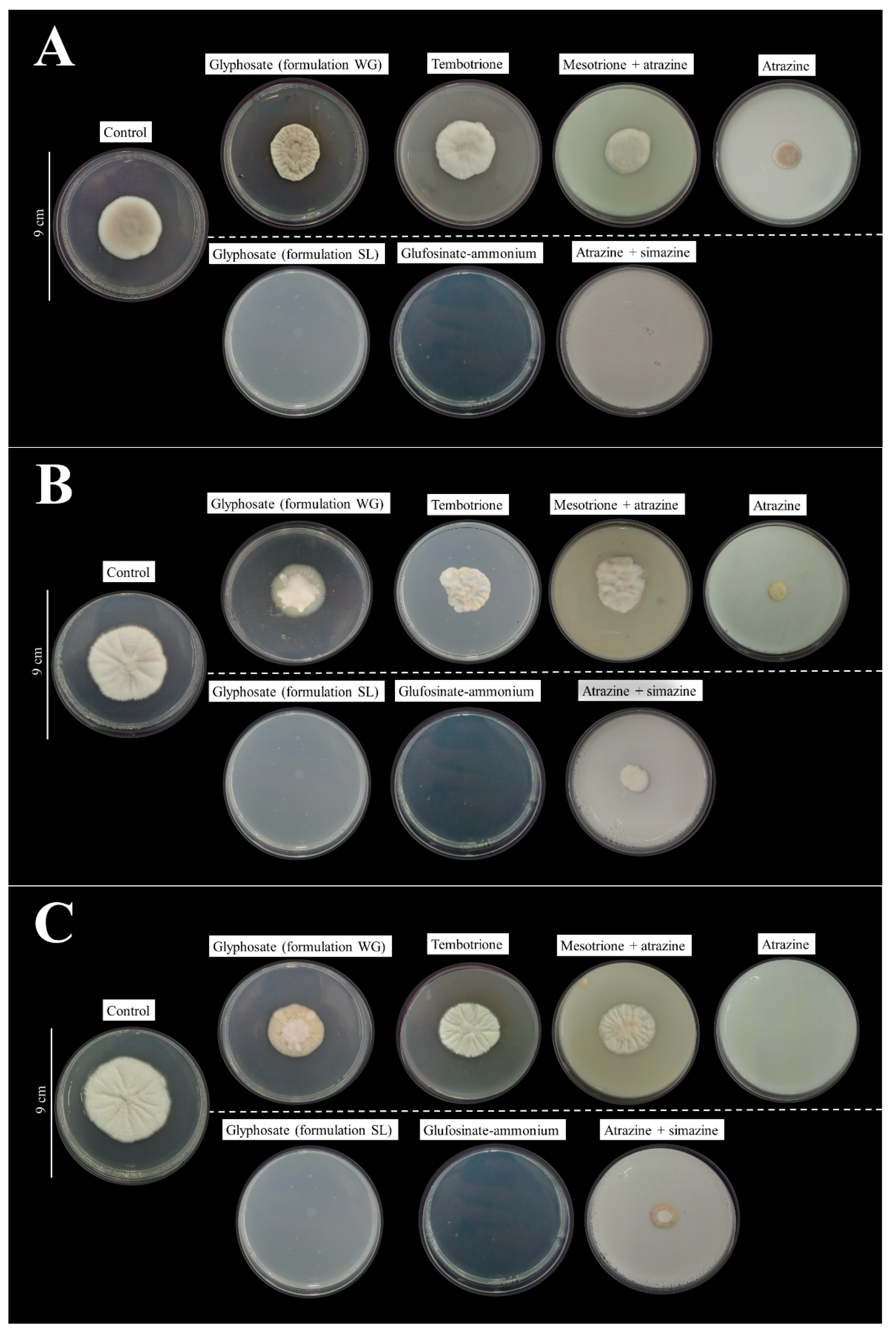 Agriculture 14 02189 g001