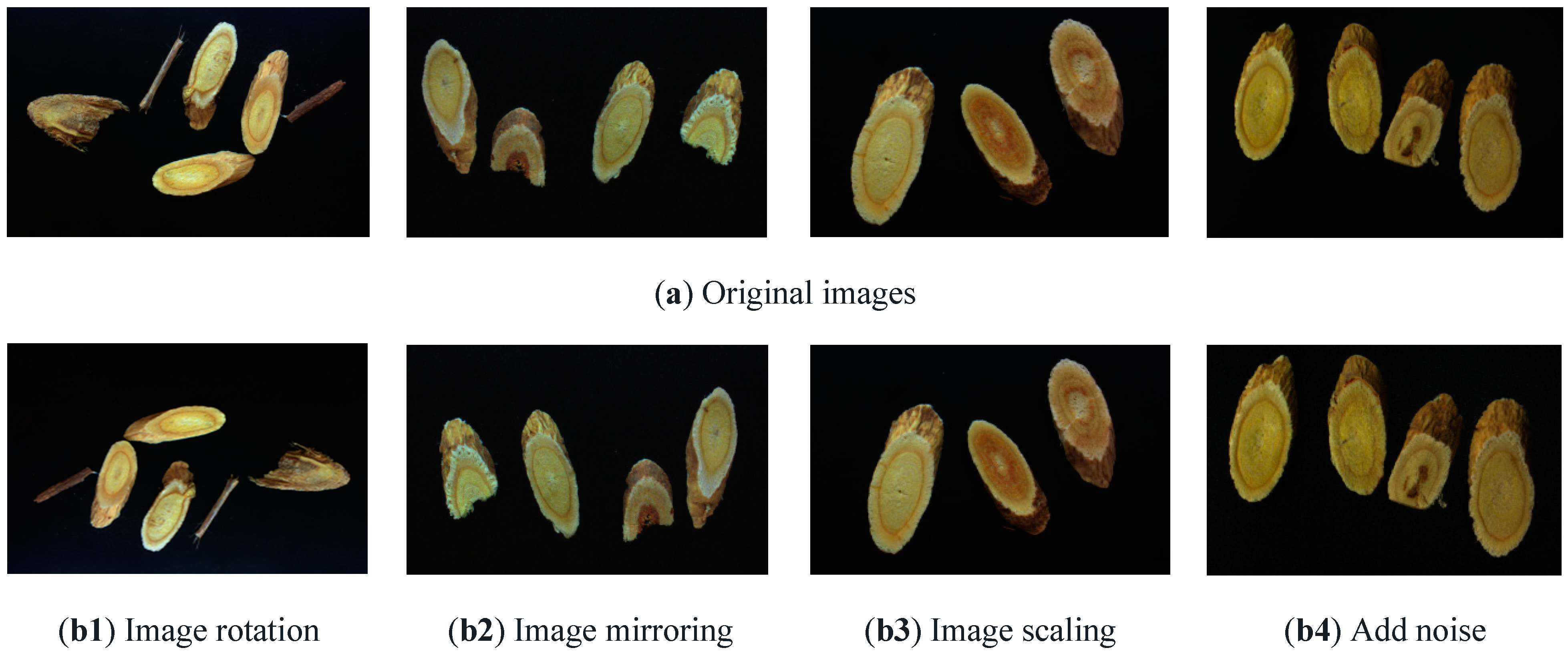 Agriculture 14 02194 g001
