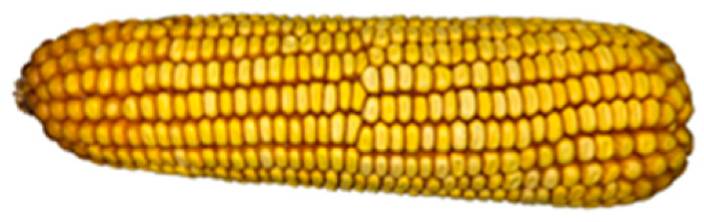 Agriculture 14 02195 g001