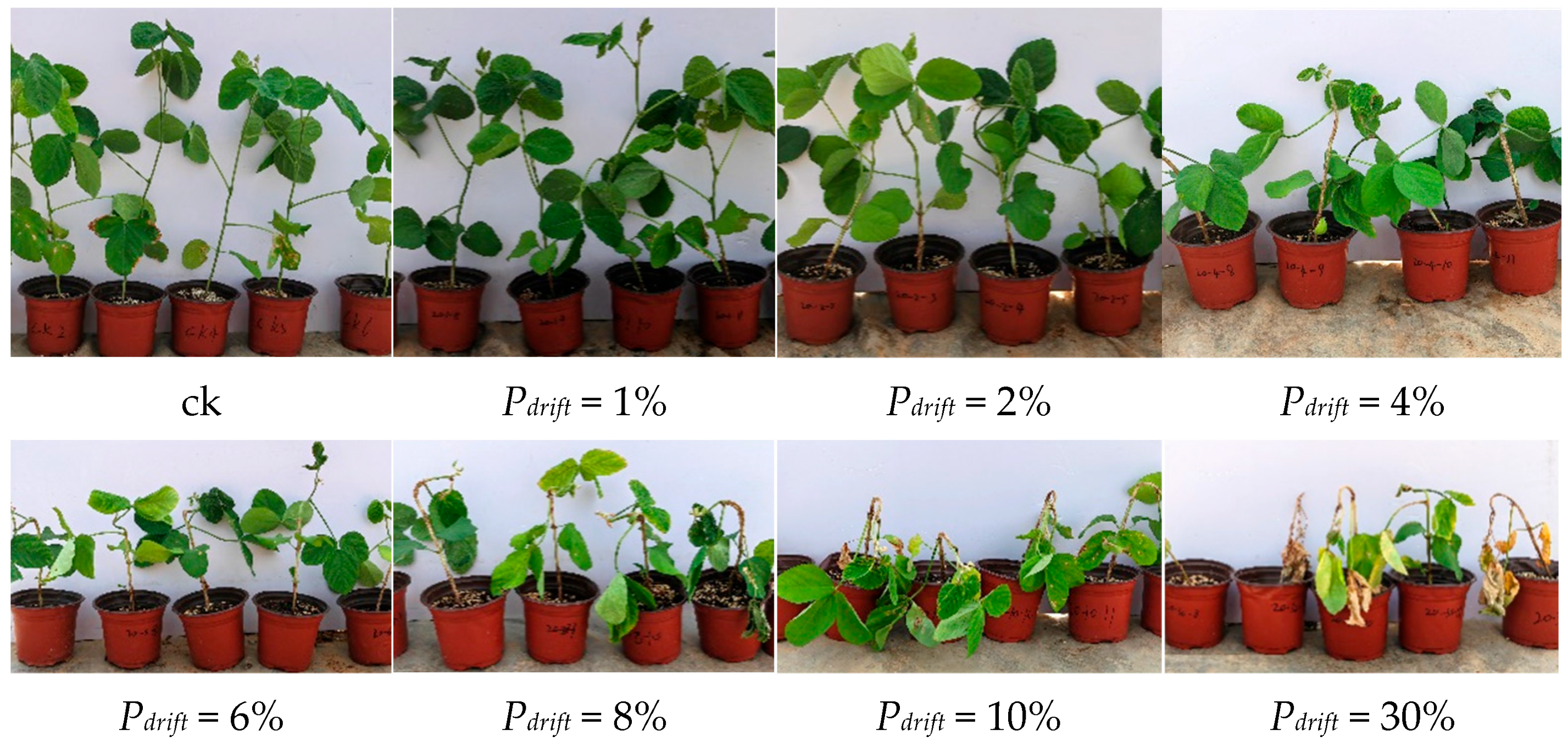 Agriculture 14 02203 g005