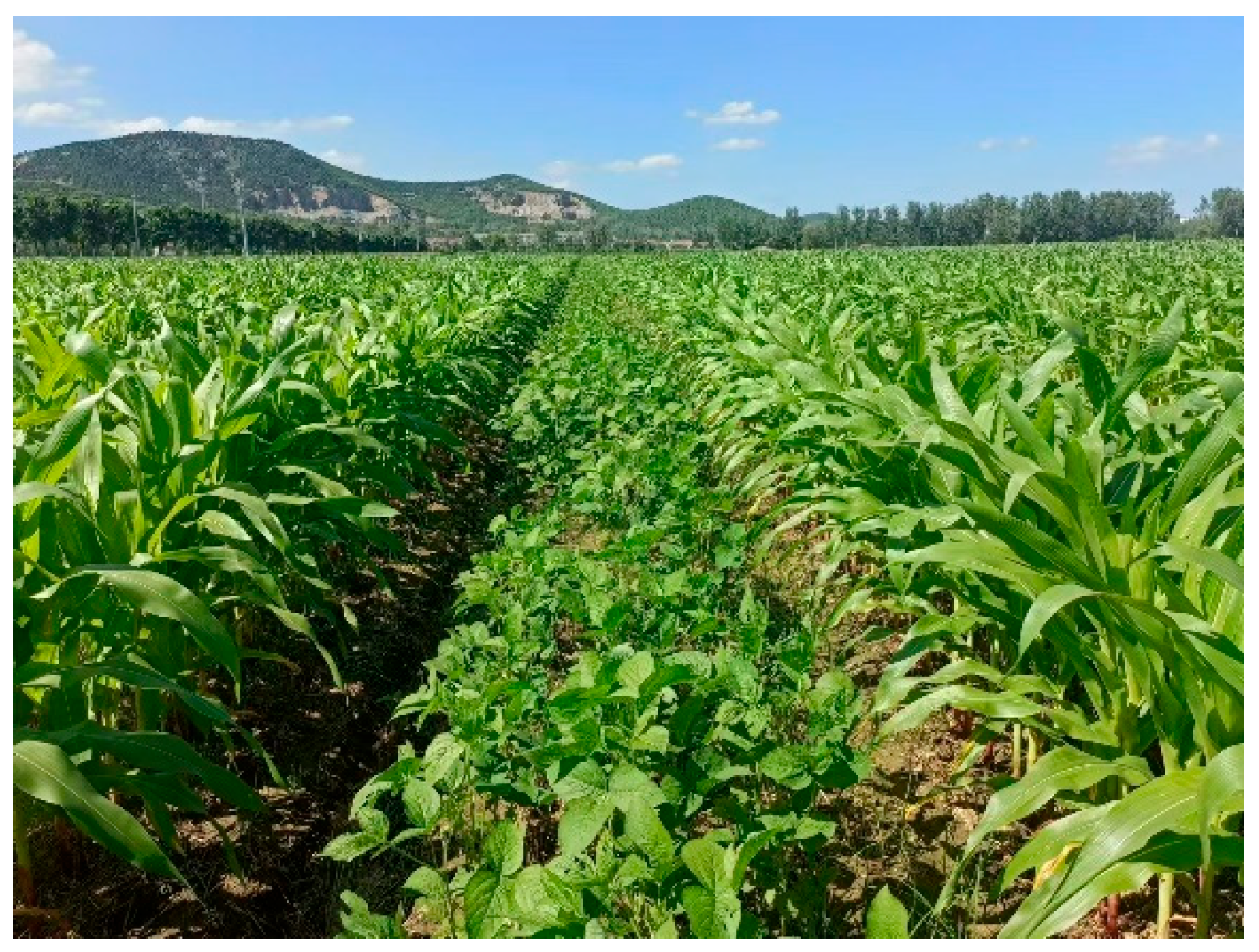 Agriculture 14 02203 g008