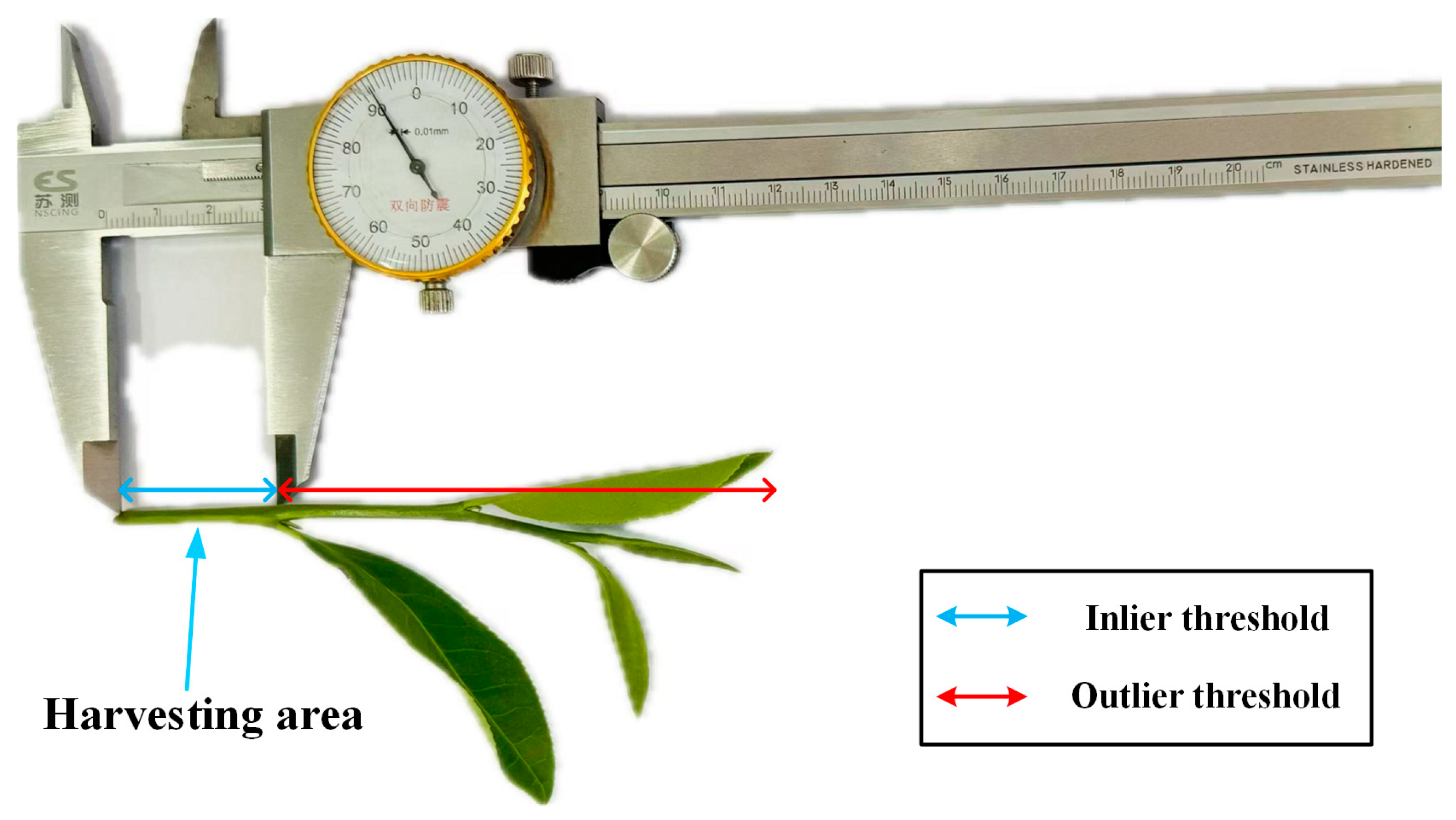 Agriculture 14 02213 g004