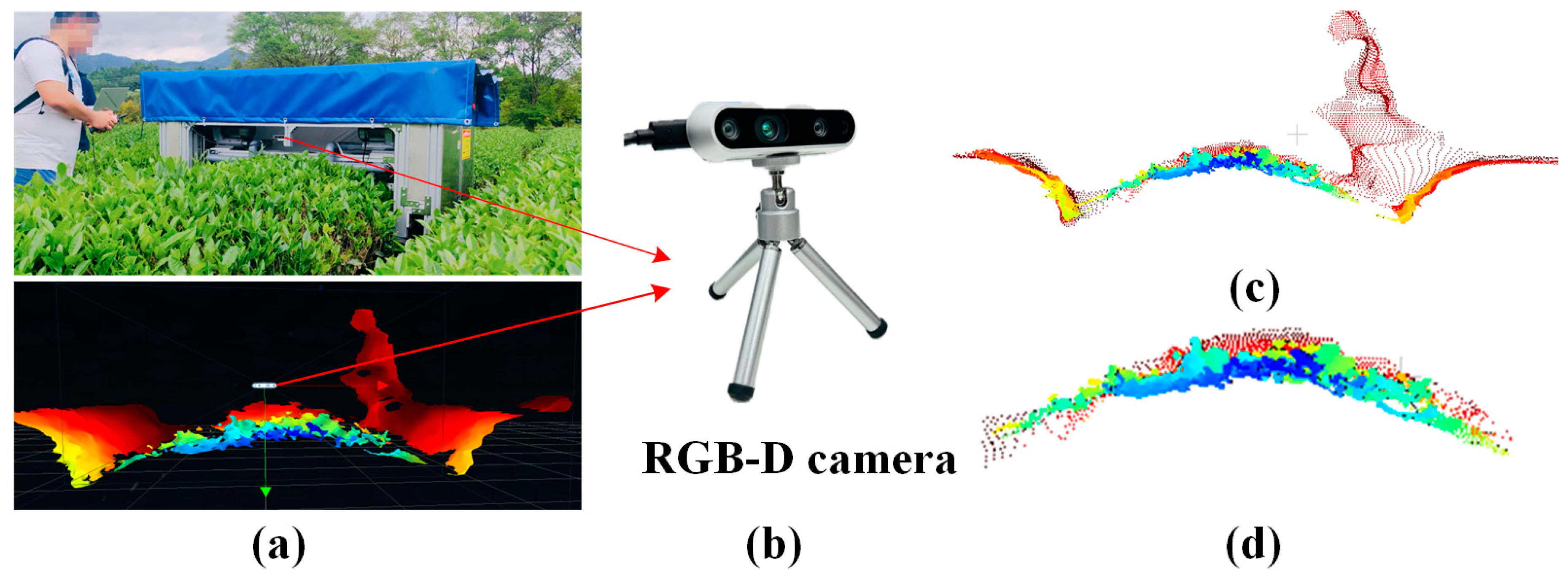 Agriculture 14 02213 g006