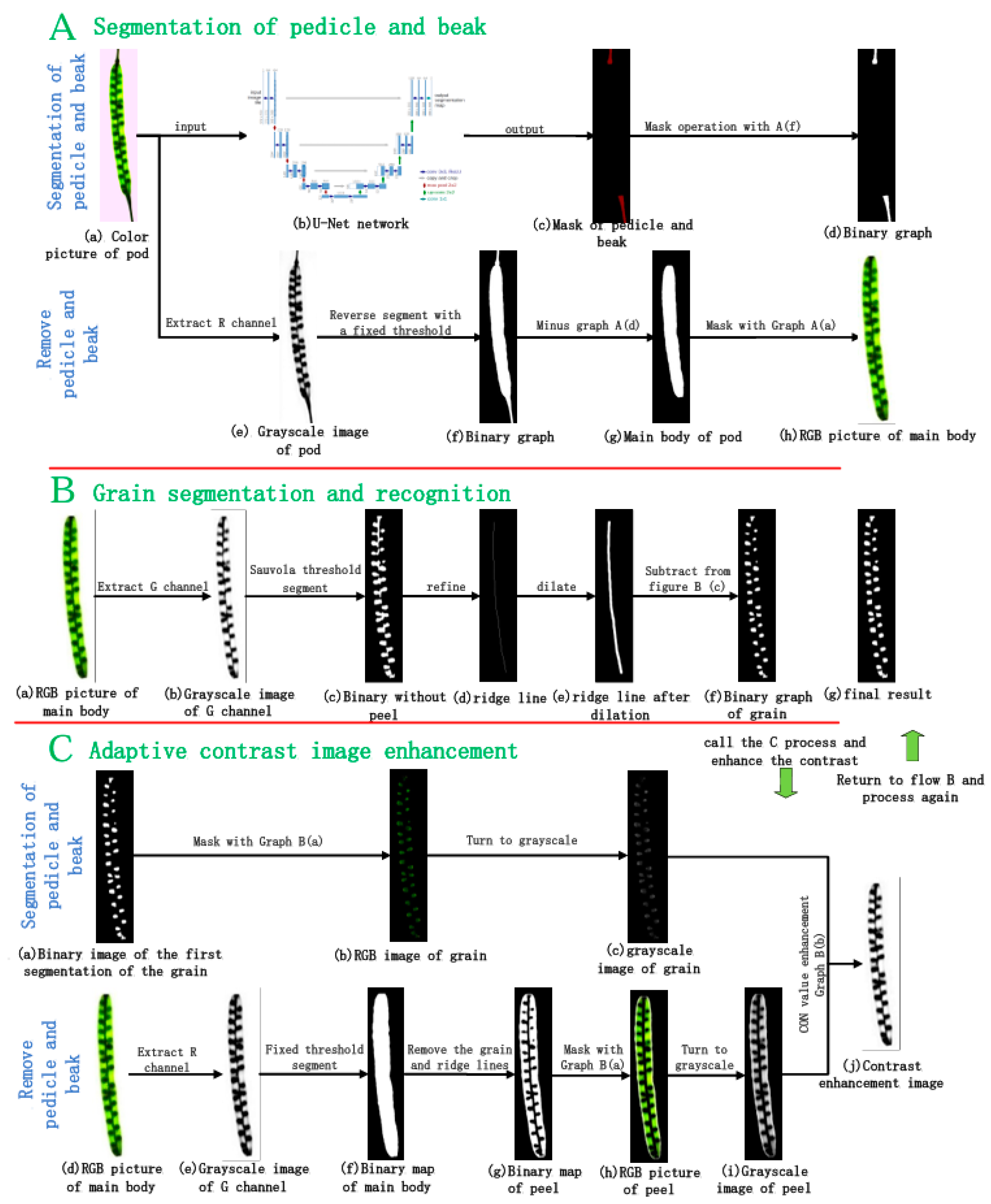 Agriculture 14 02215 g003