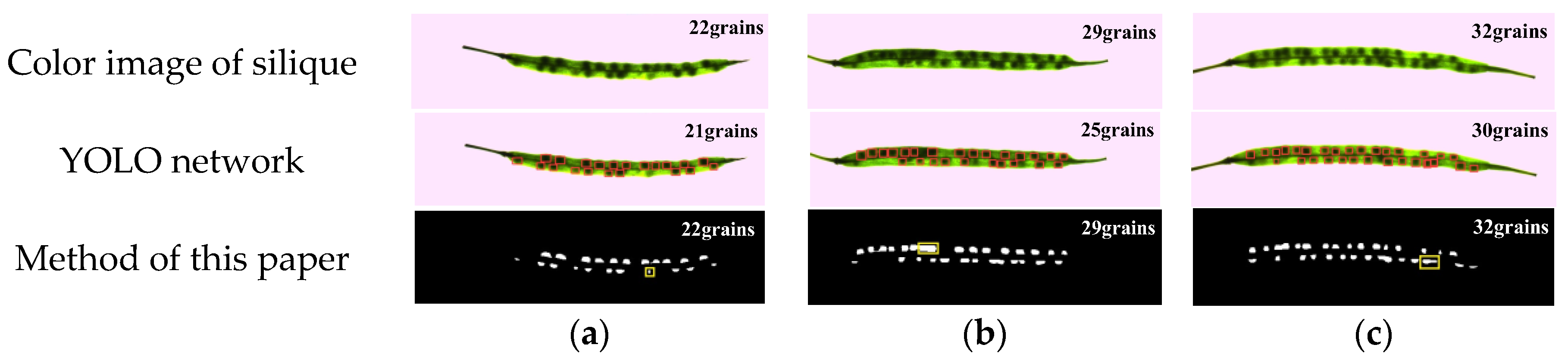 Agriculture 14 02215 g006