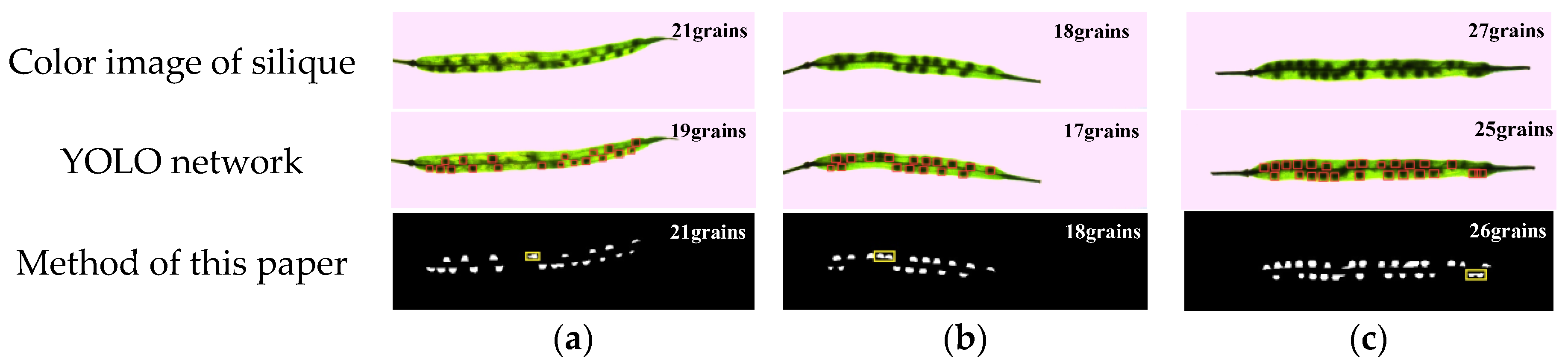 Agriculture 14 02215 g007