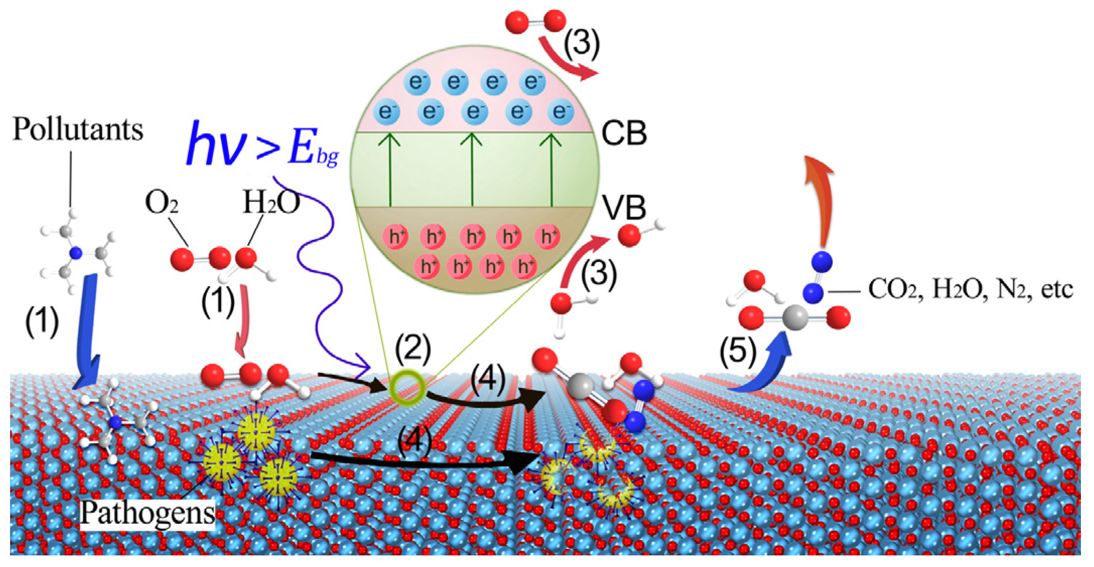 Agriculture 14 02216 g002