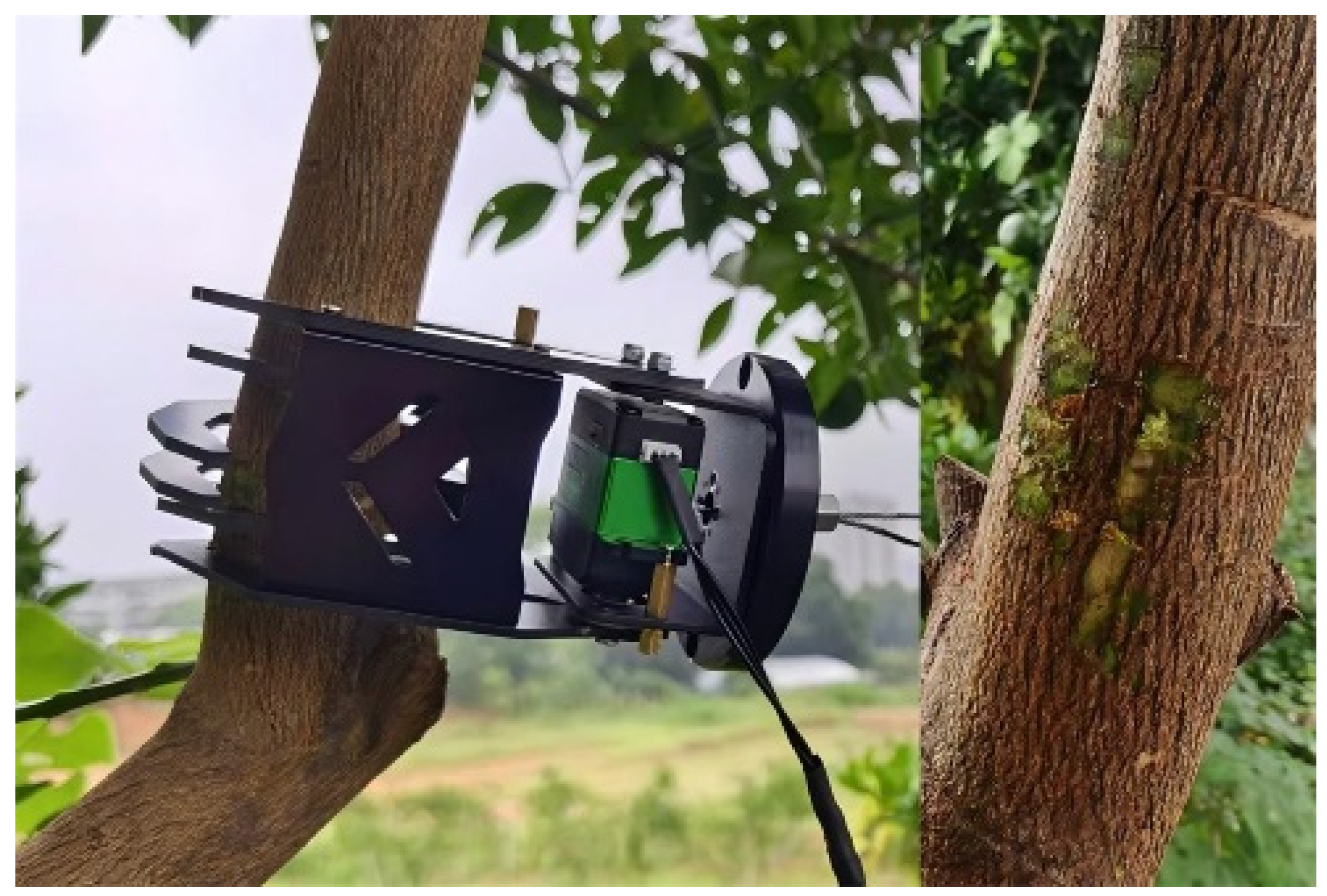 Agriculture 14 02220 g001