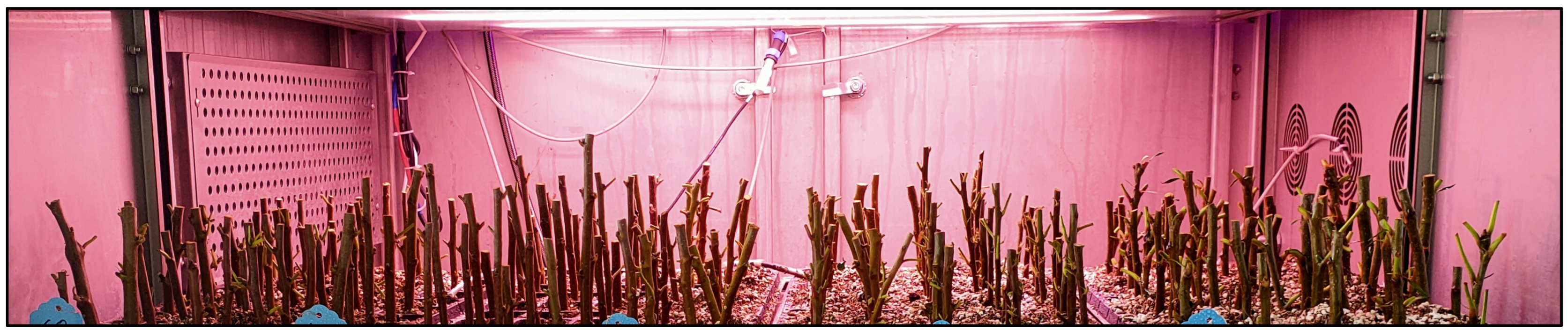 Agriculture 14 02223 g001