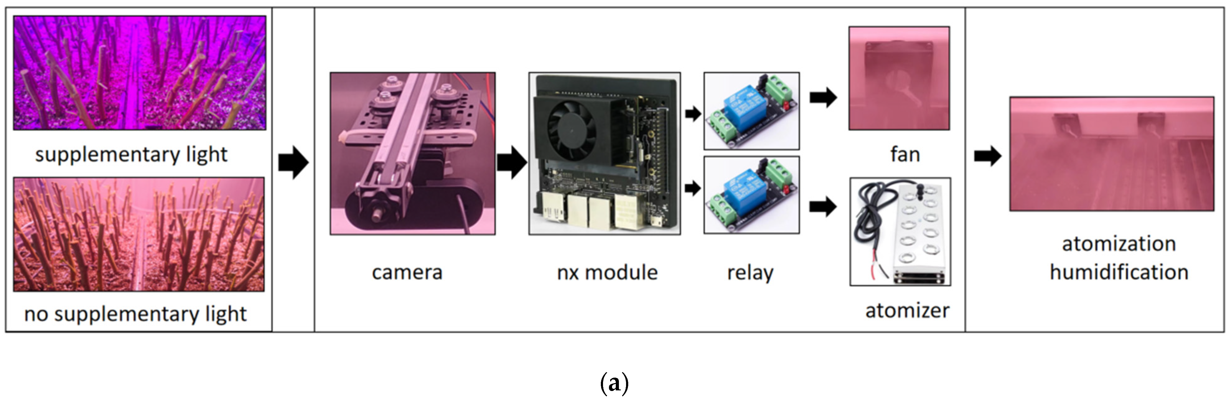 Agriculture 14 02223 g013a