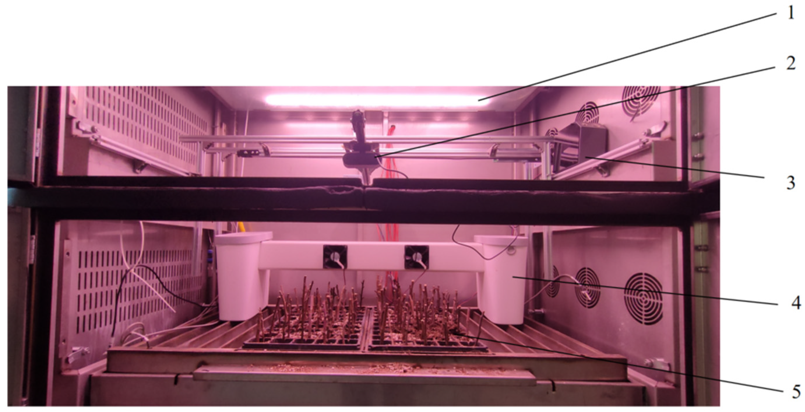 Agriculture 14 02223 g014