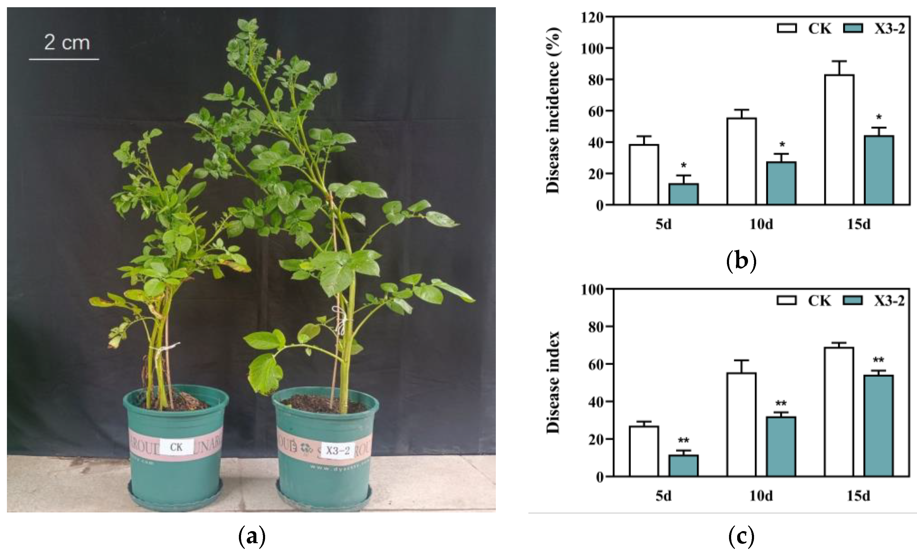 Agriculture 14 02224 g004