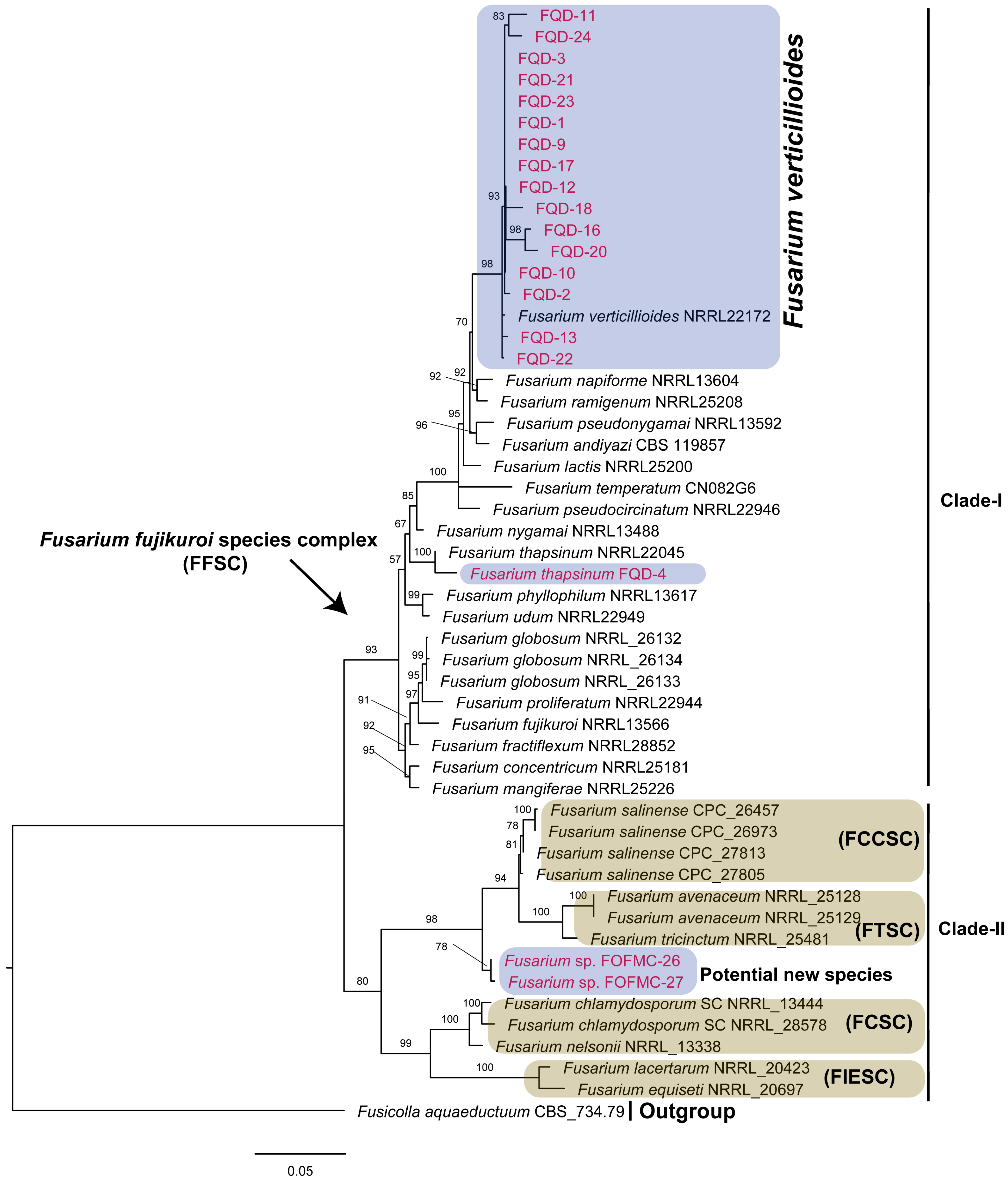 Agriculture 14 02225 g001