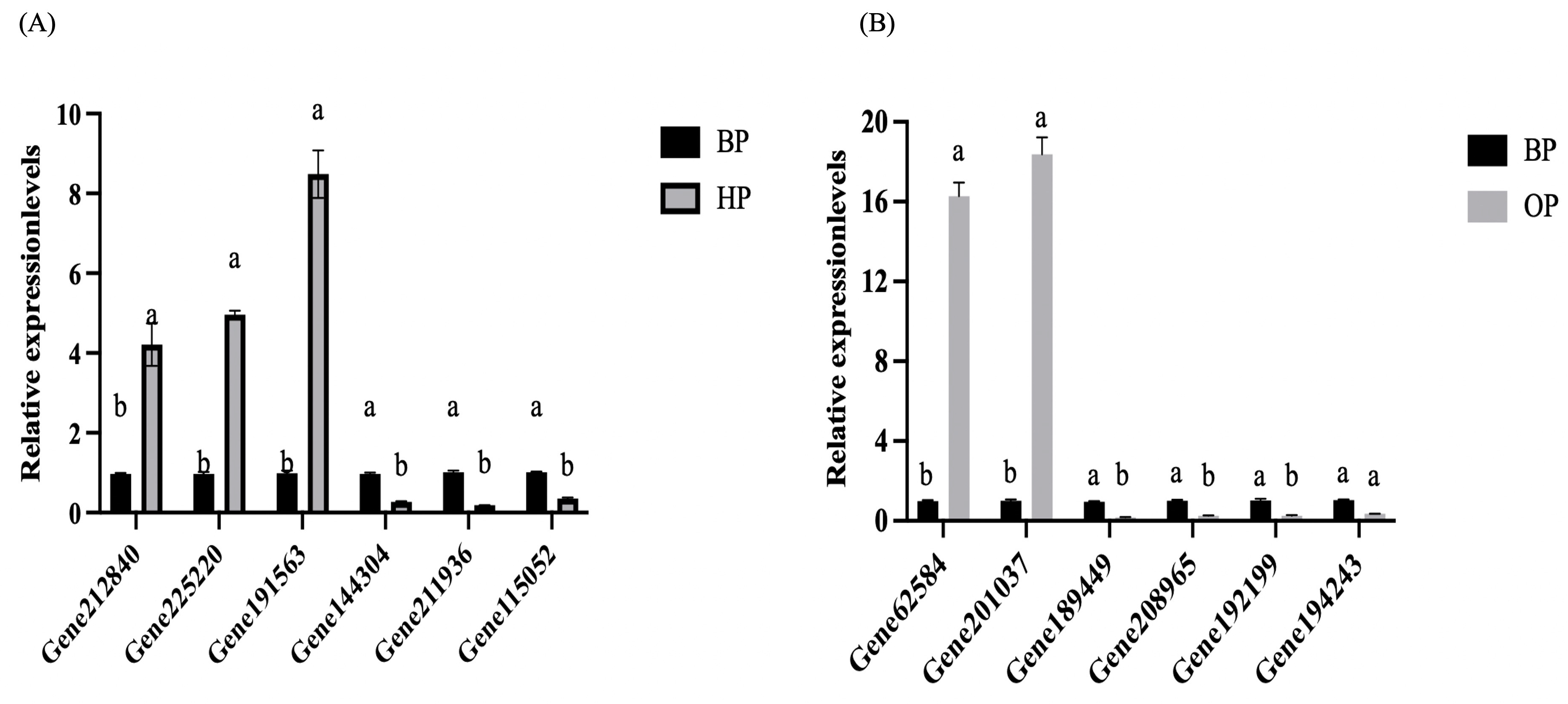 Agriculture 14 02226 g011