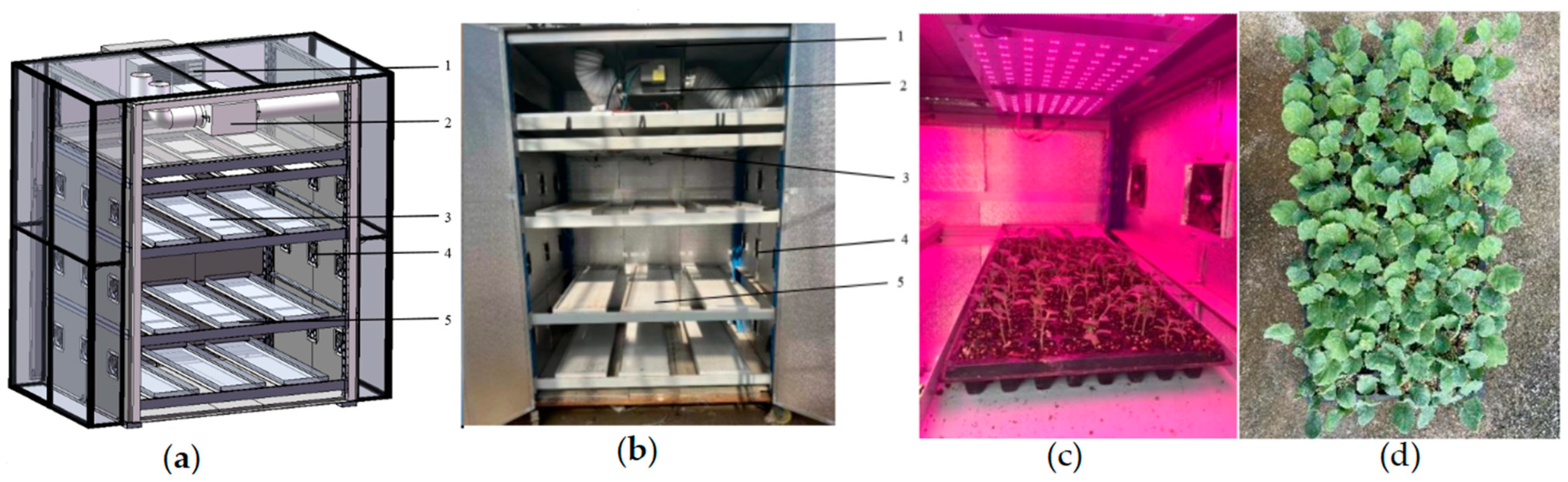 Agriculture 14 02227 g006