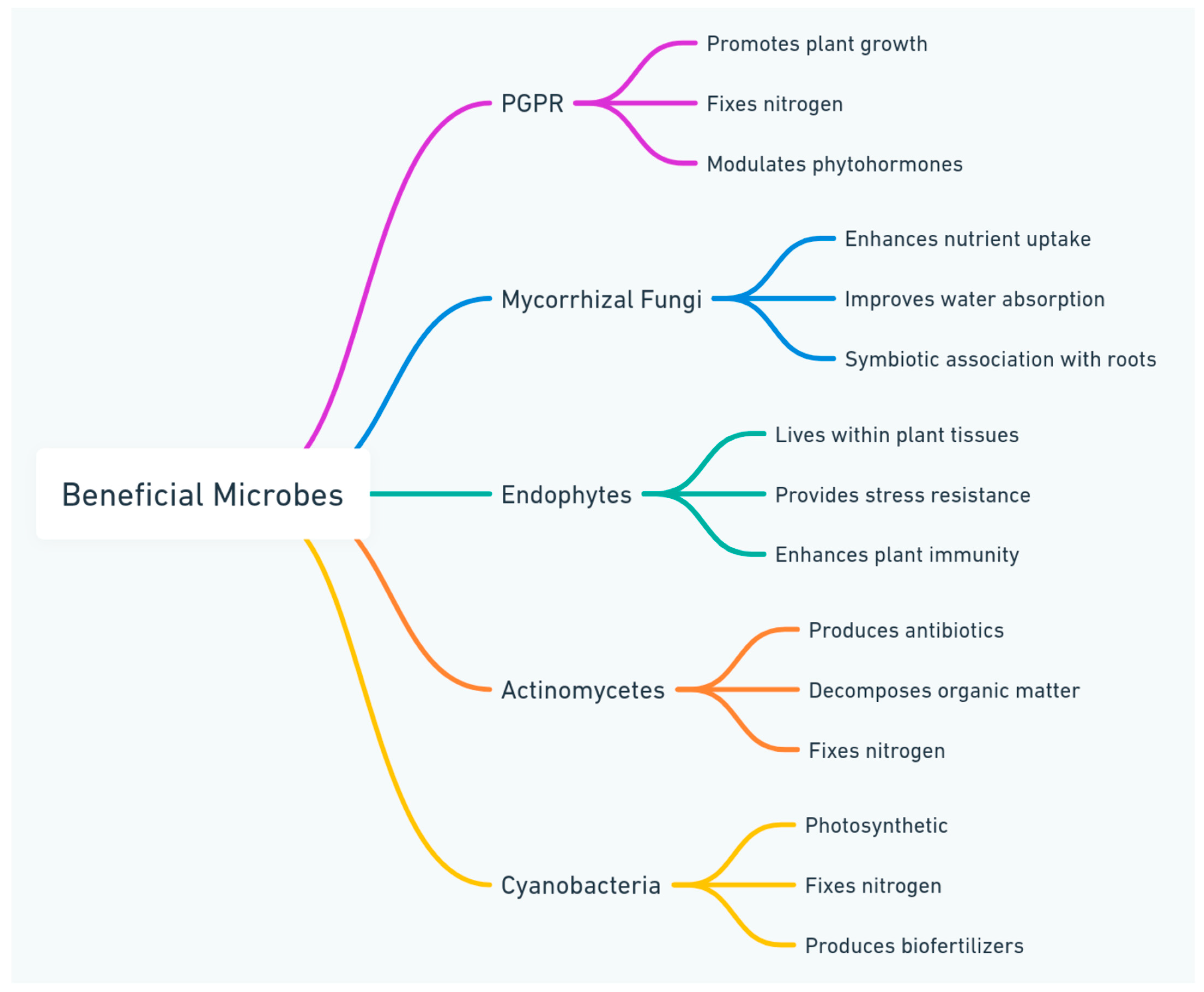 Agriculture 14 02228 g001