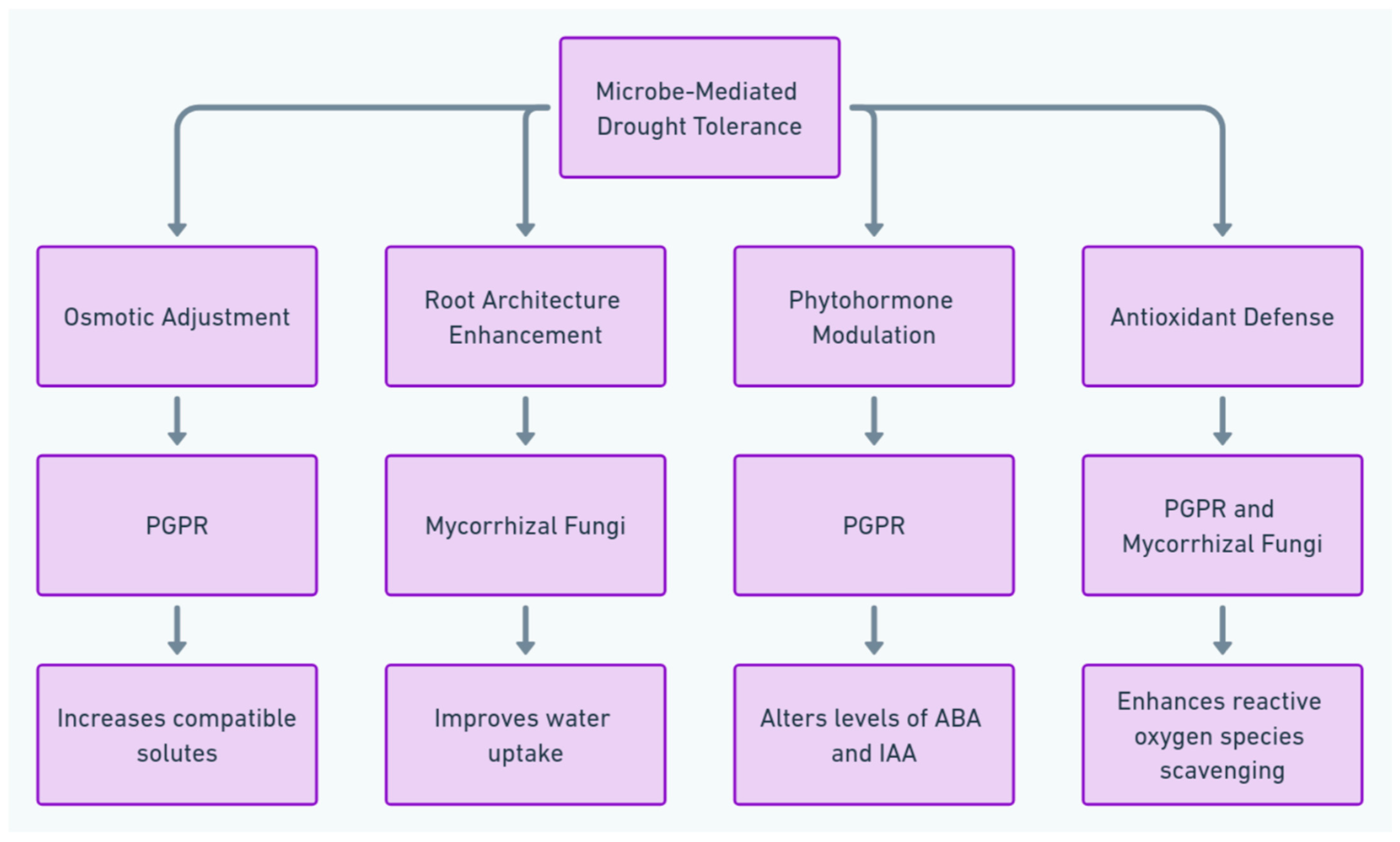 Agriculture 14 02228 g002