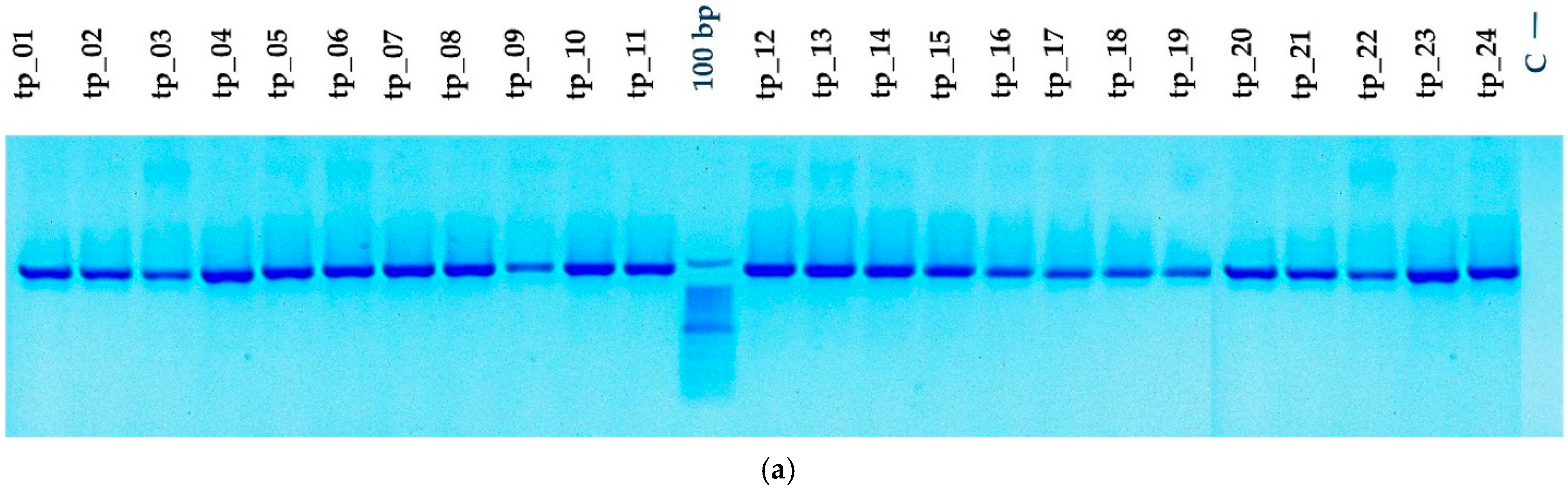Agriculture 14 02234 g004a