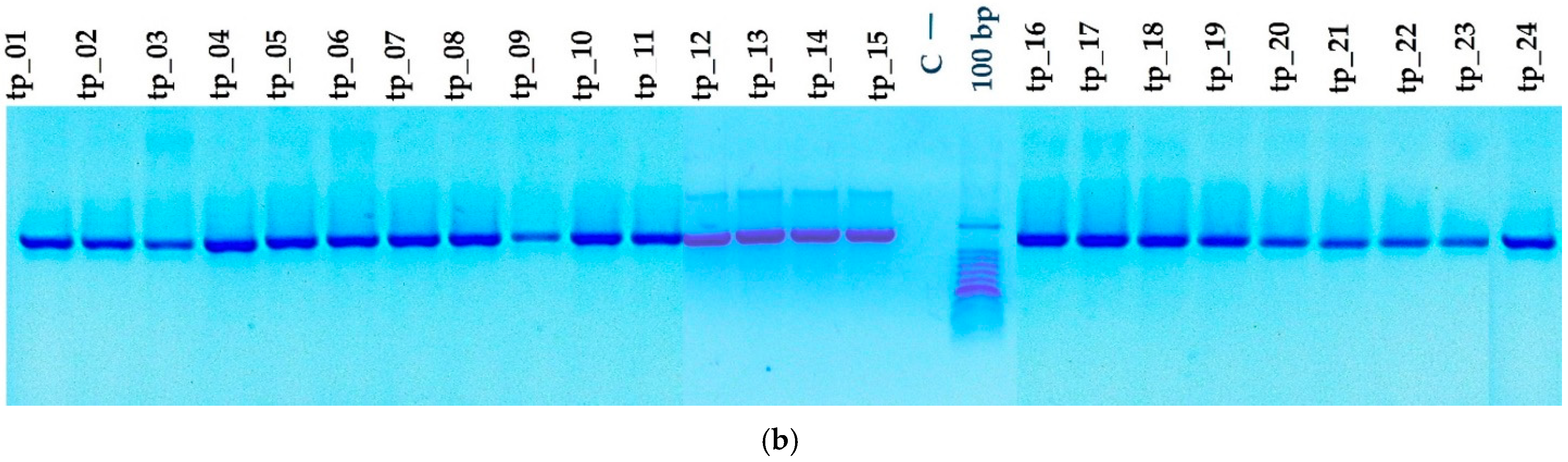 Agriculture 14 02234 g004b