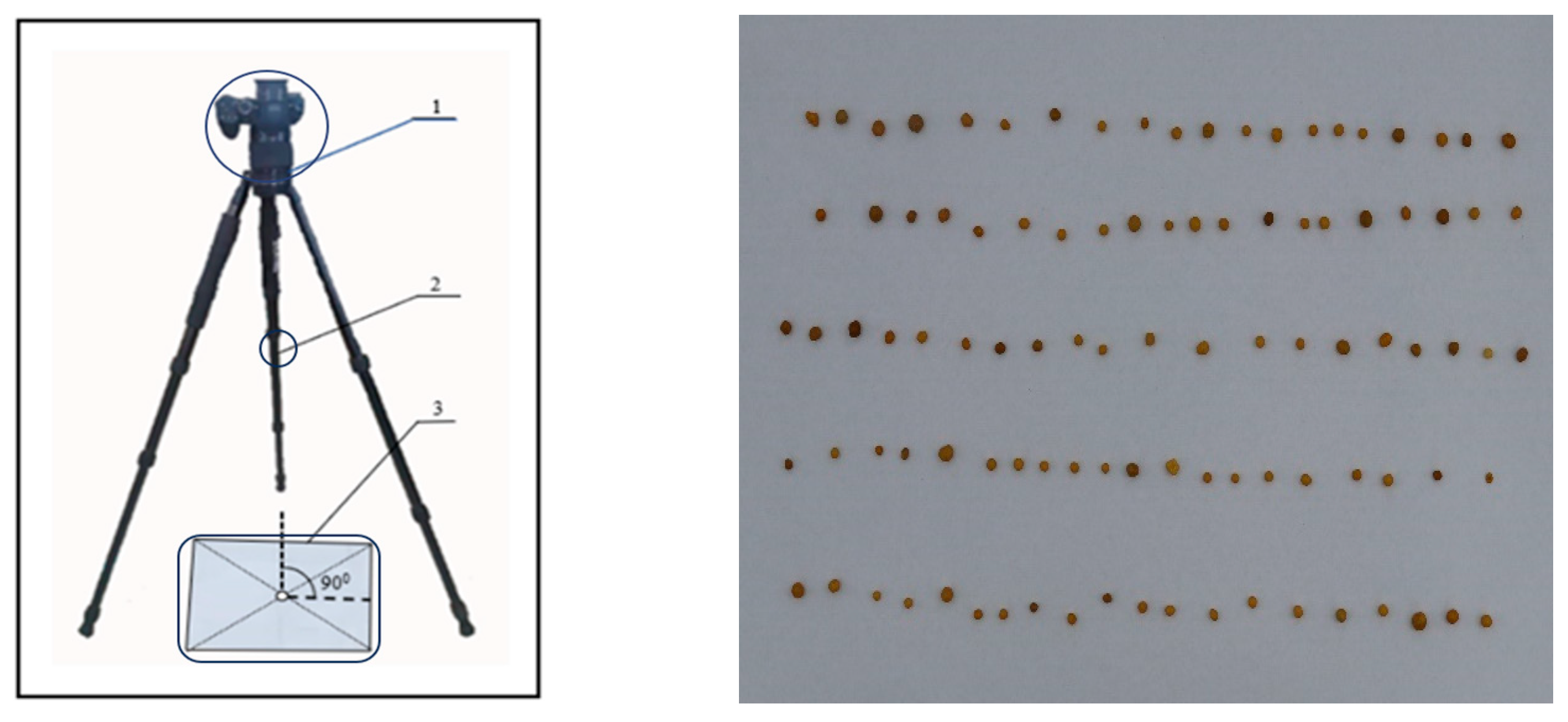 Agriculture 14 02235 g001