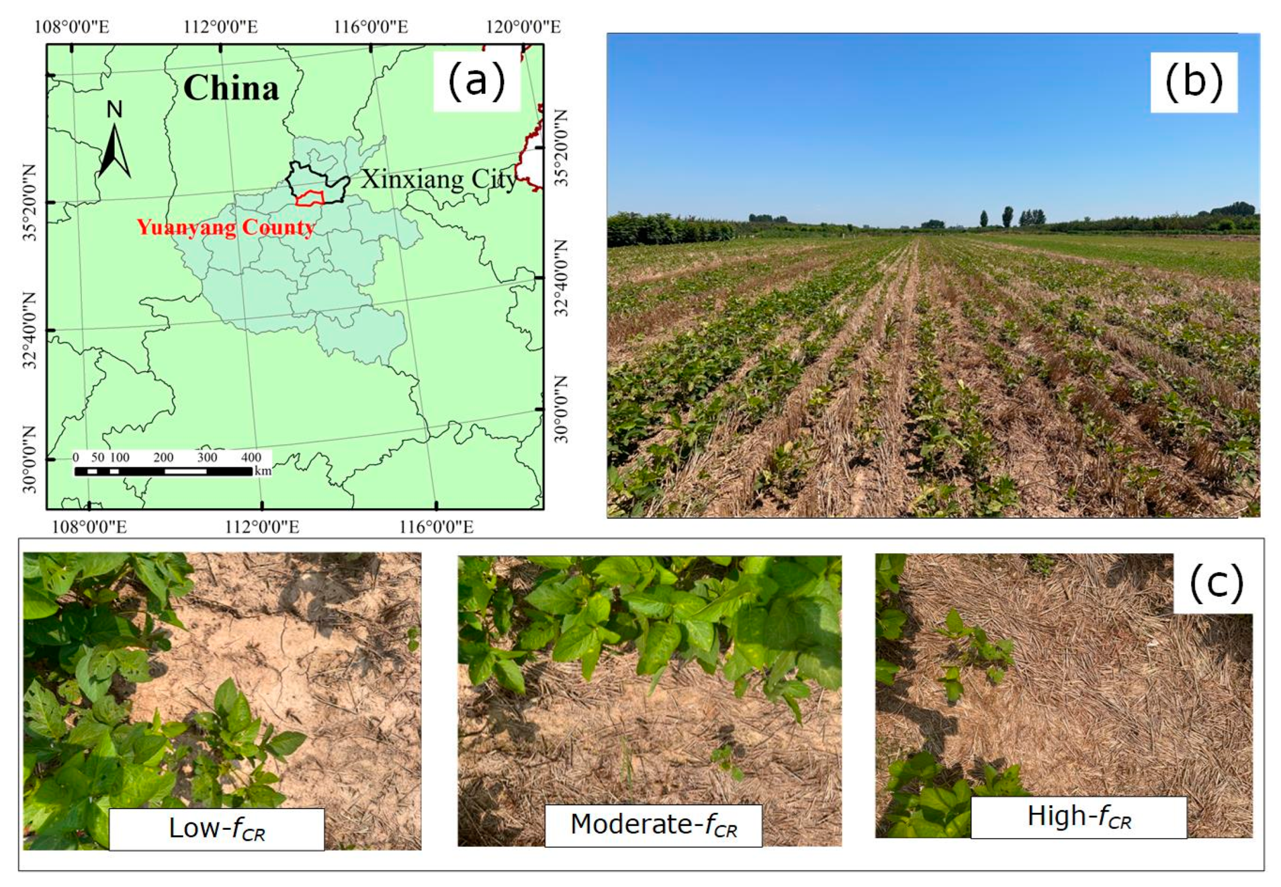 Agriculture 14 02240 g001