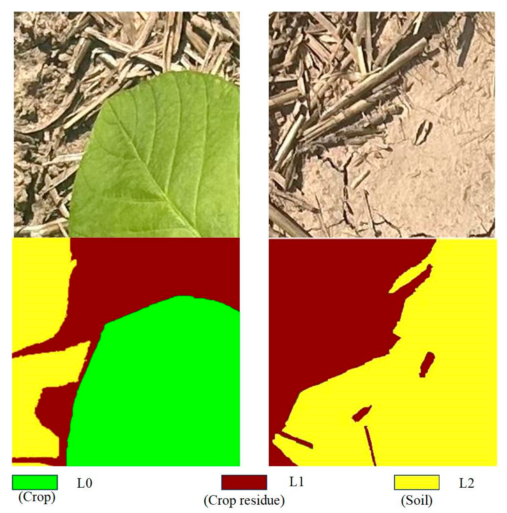 Agriculture 14 02240 g002