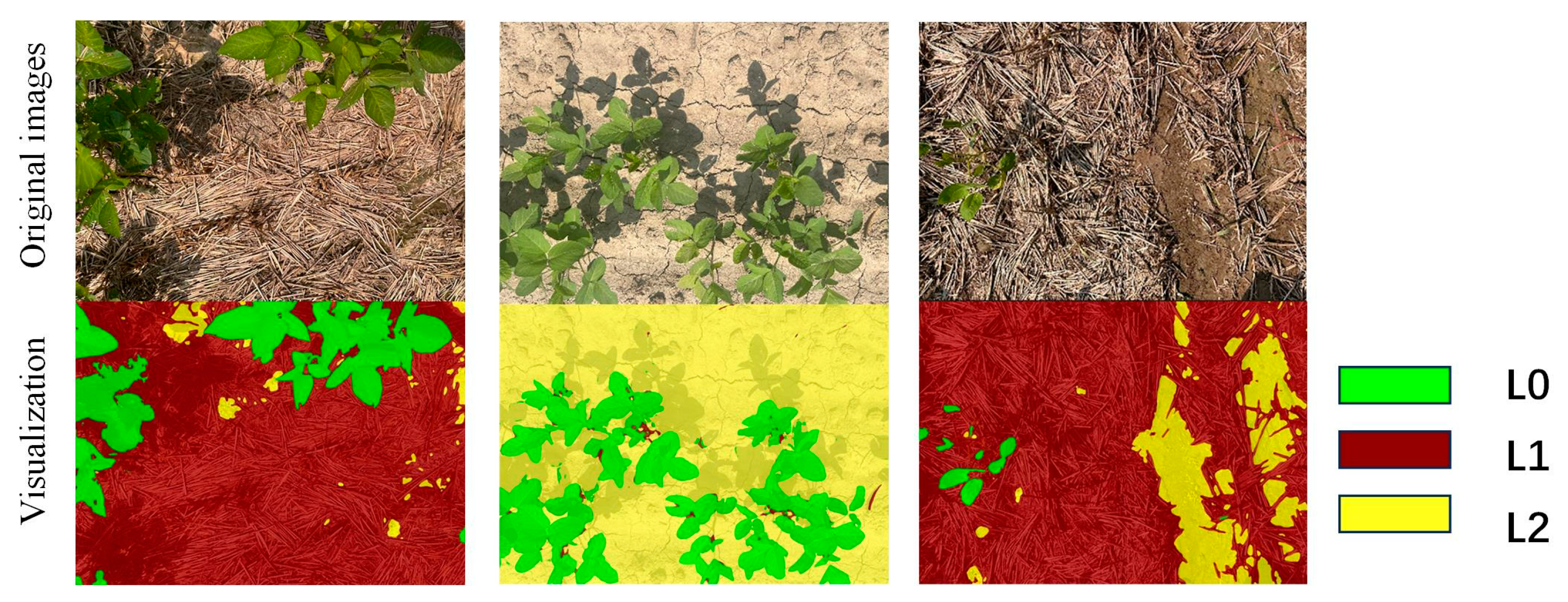 Agriculture 14 02240 g007