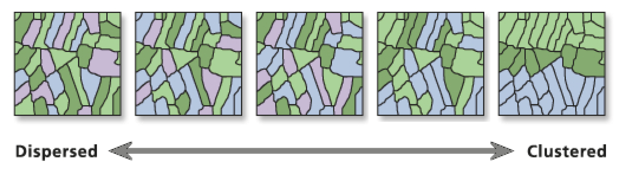 Agriculture 14 02241 g002