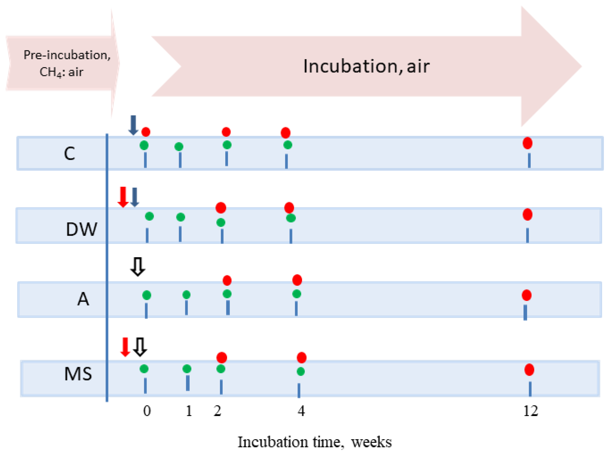 Agriculture 14 02243 g001