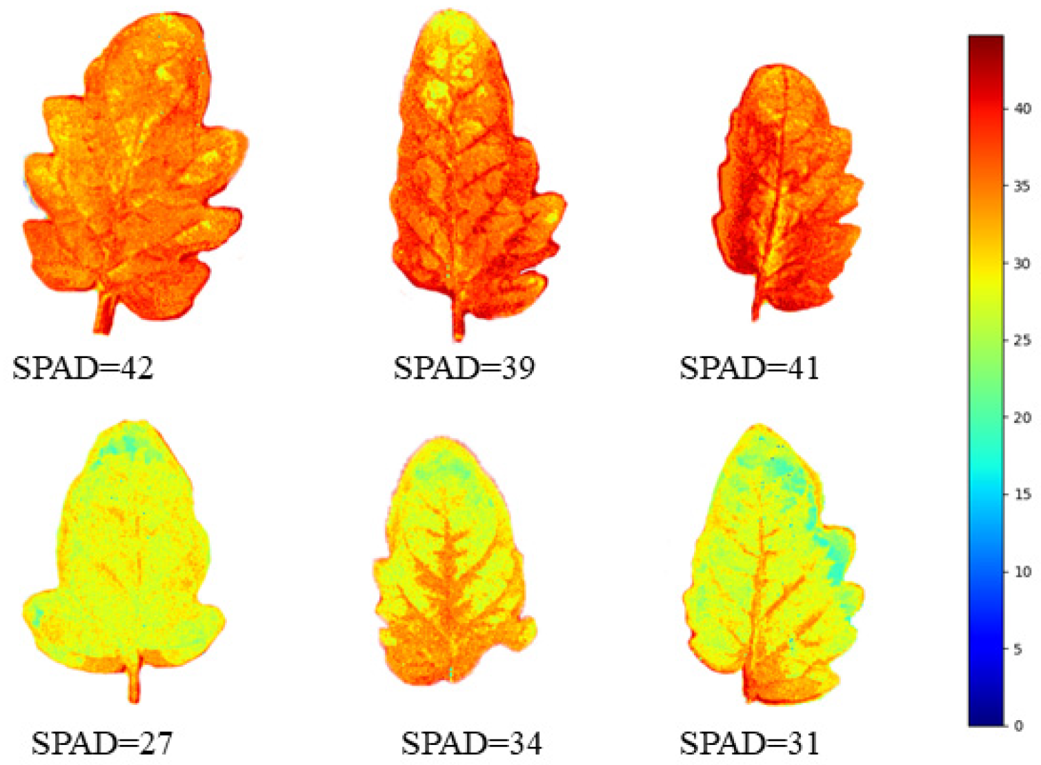 Agriculture 14 02247 g010