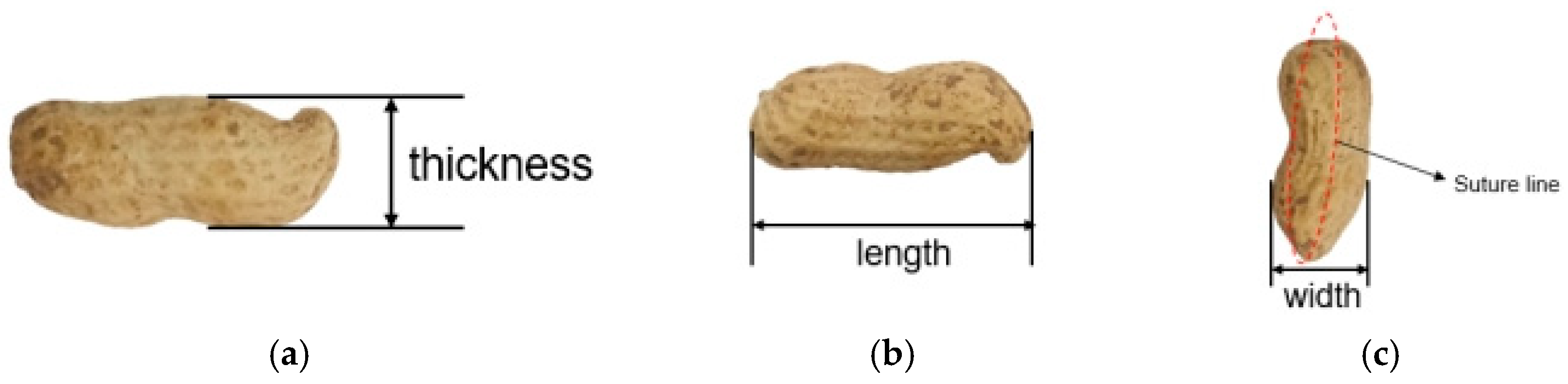 Agriculture 14 02248 g003