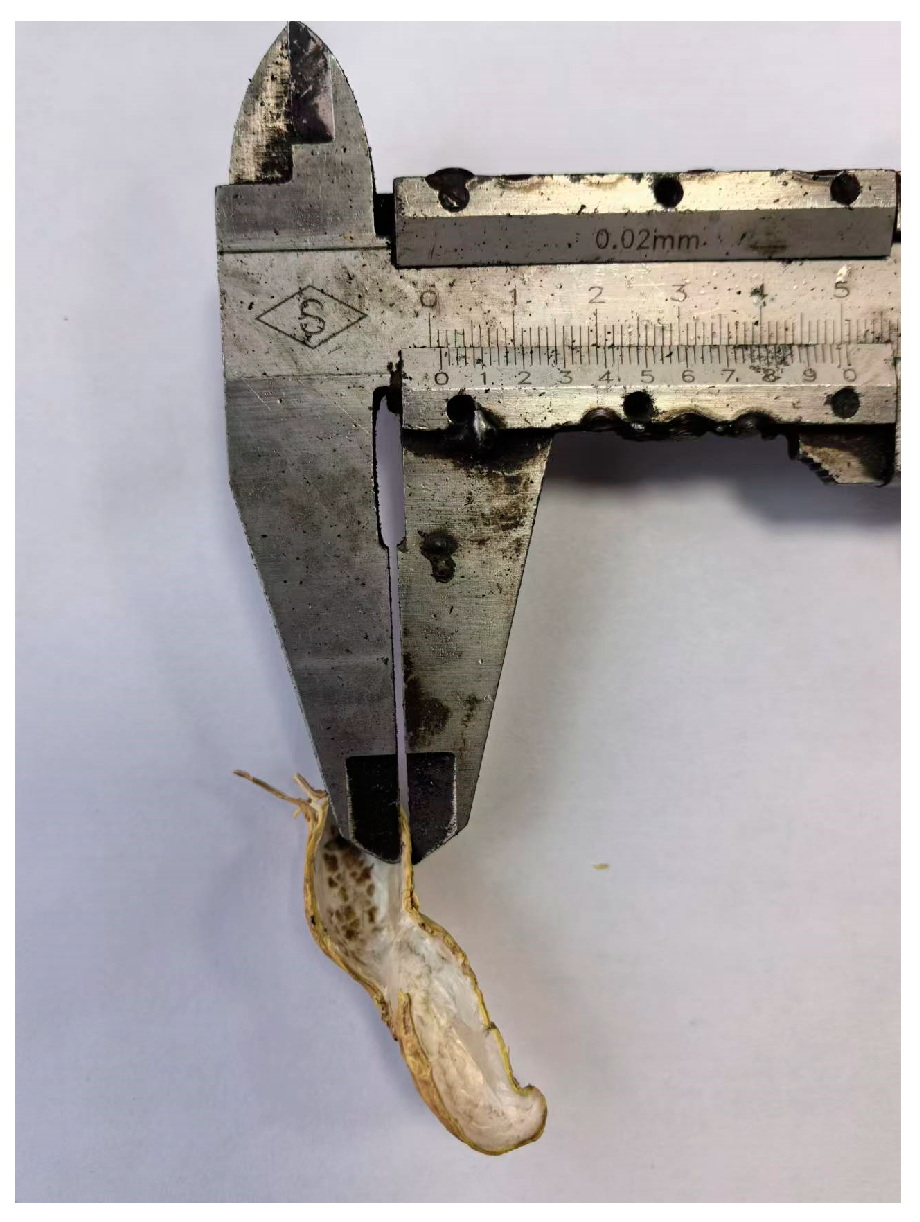 Agriculture 14 02248 g004