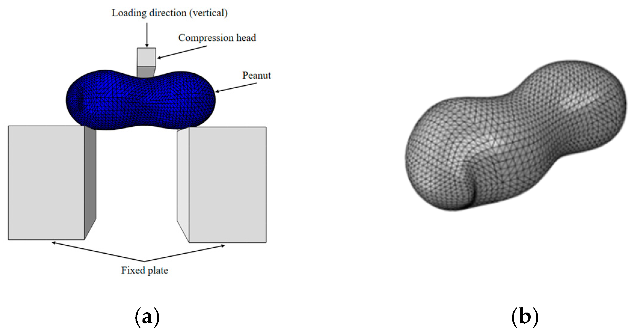 Agriculture 14 02248 g008