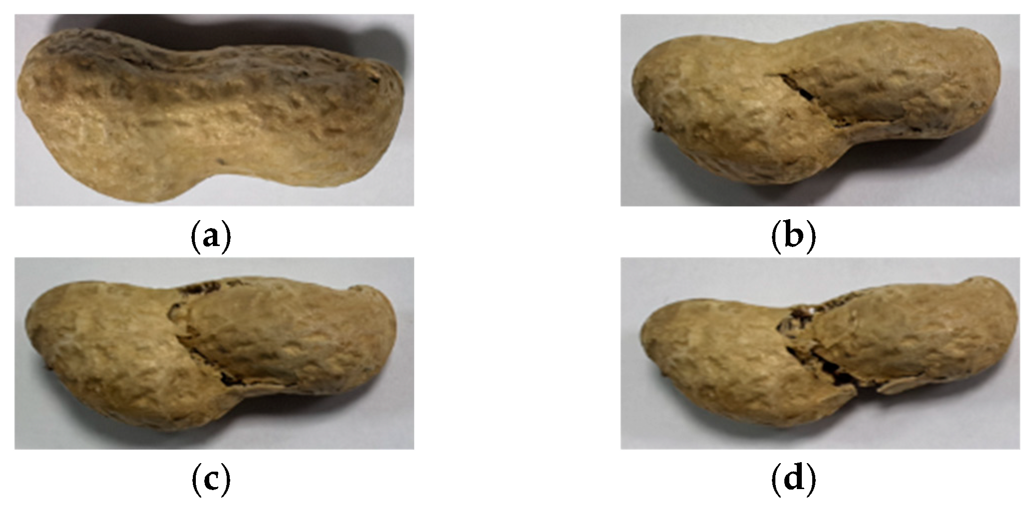 Agriculture 14 02248 g011