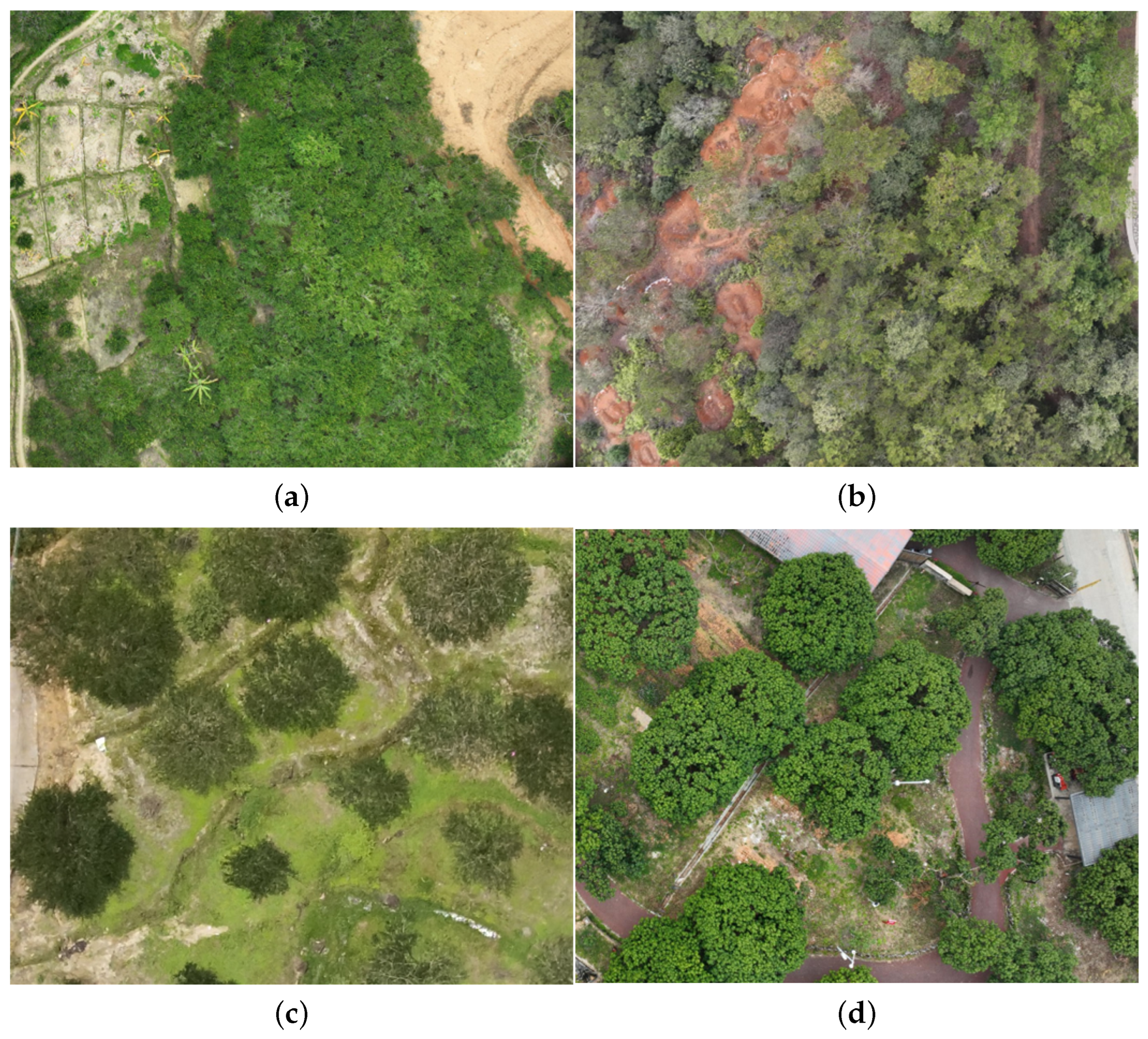 Agriculture 14 02252 g003