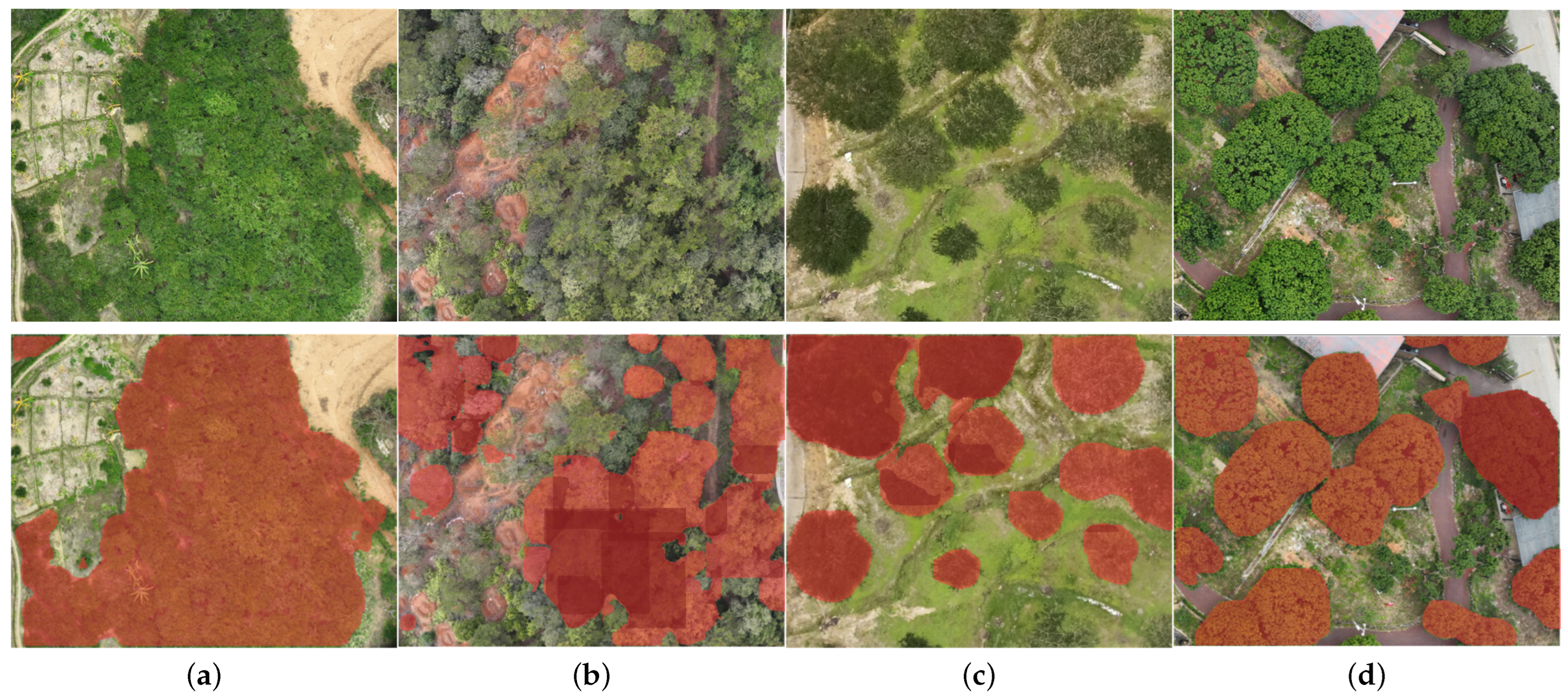 Agriculture 14 02252 g008