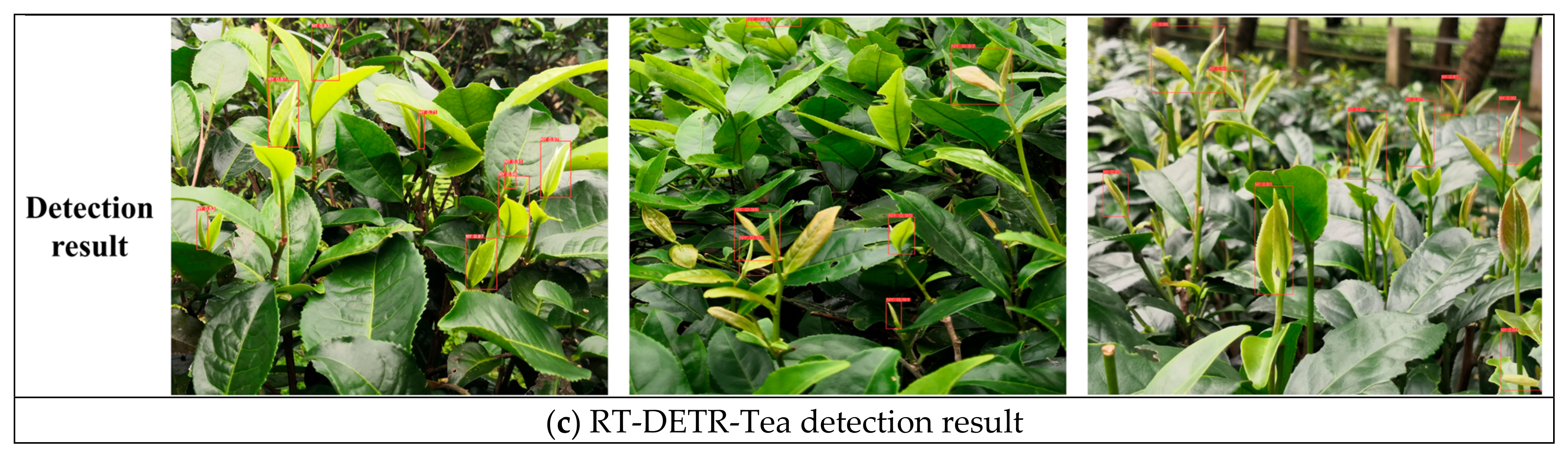 Agriculture 14 02256 g009b