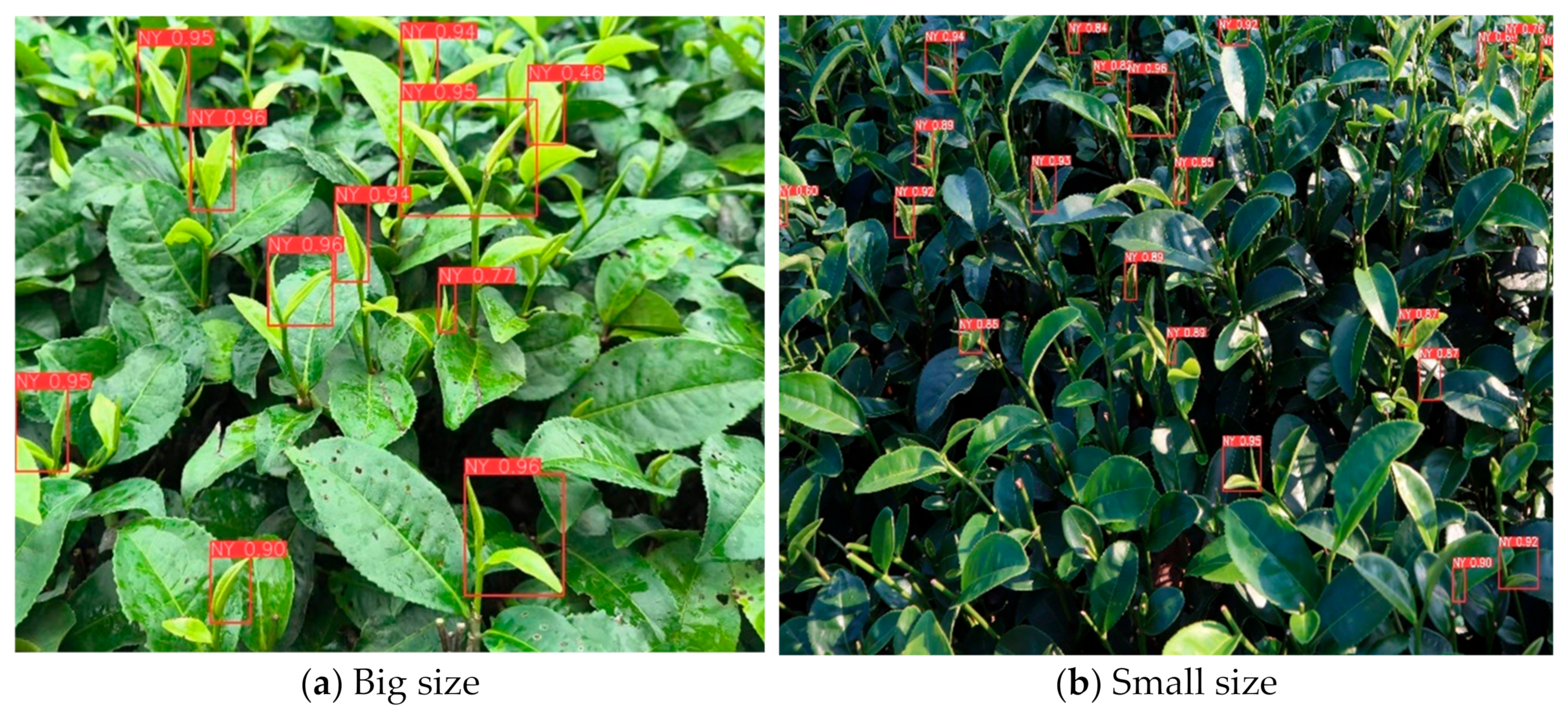 Agriculture 14 02256 g012