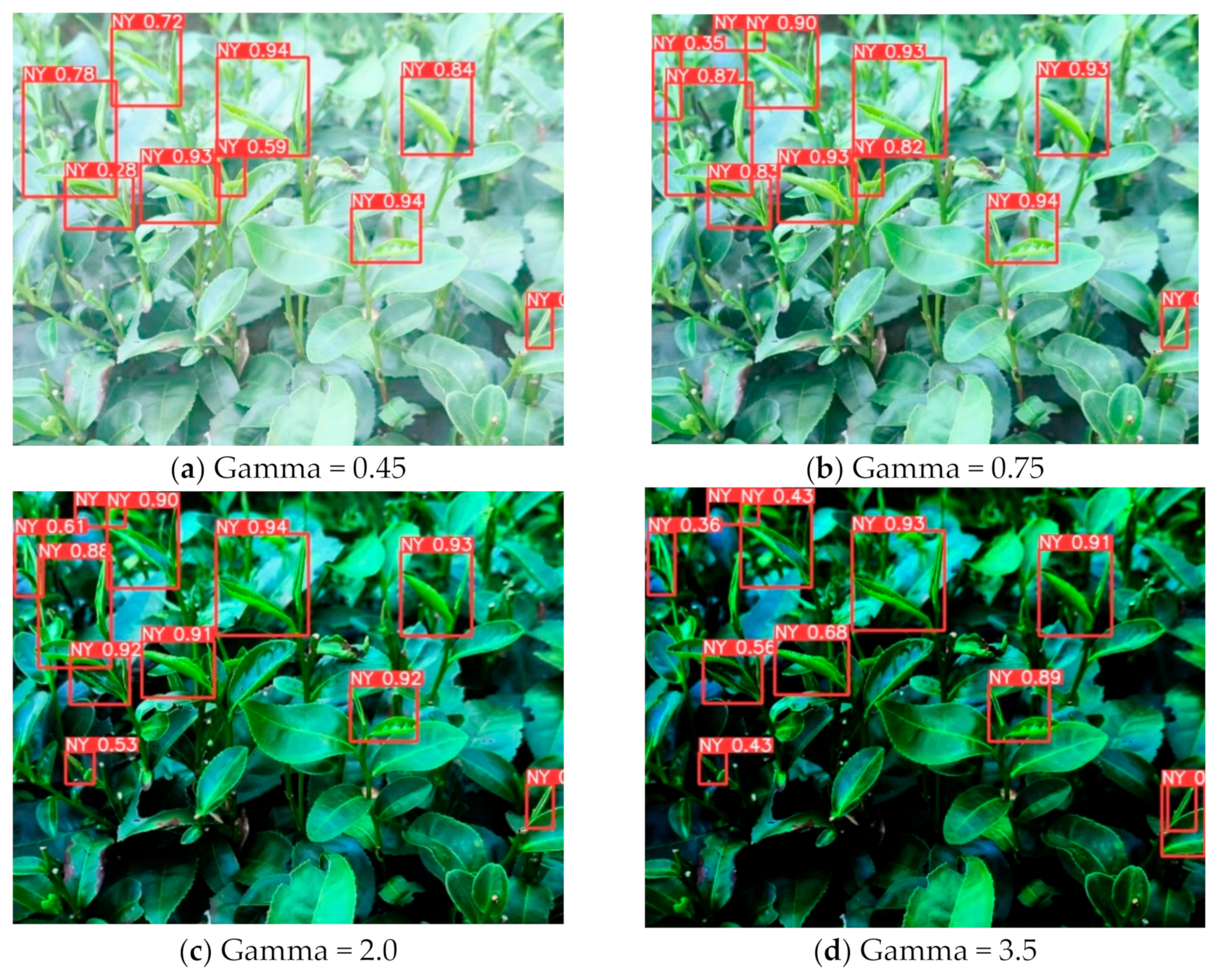 Agriculture 14 02256 g013
