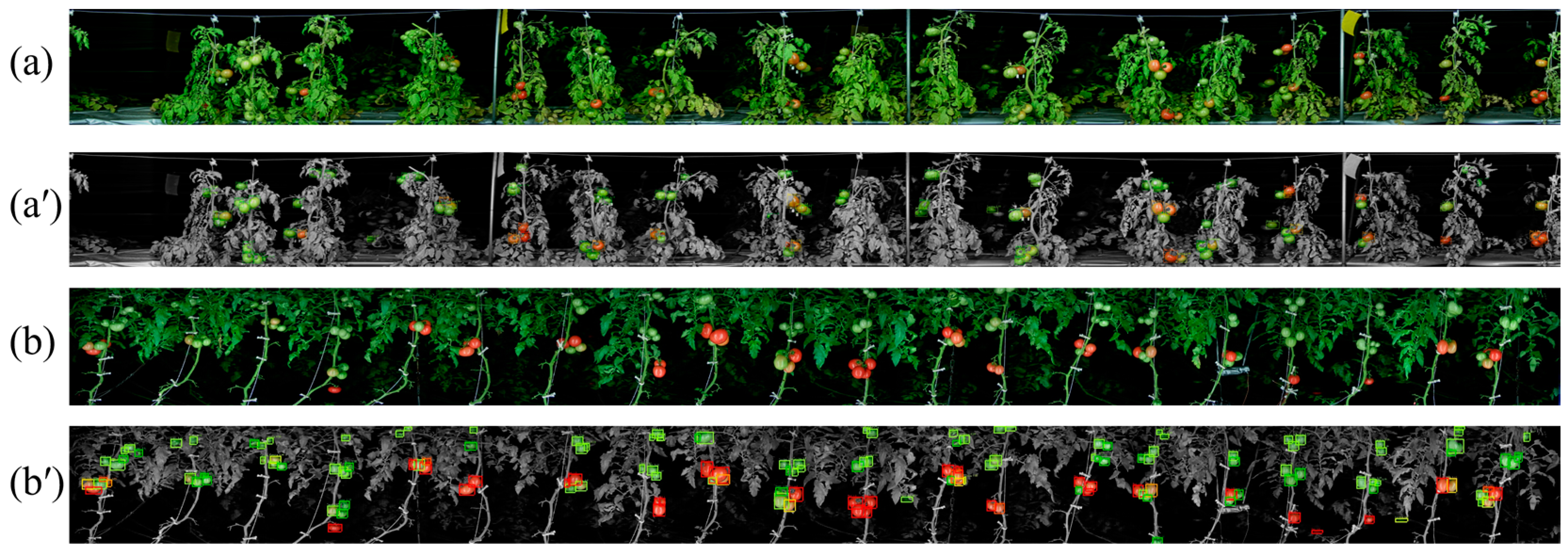Agriculture 14 02257 g002