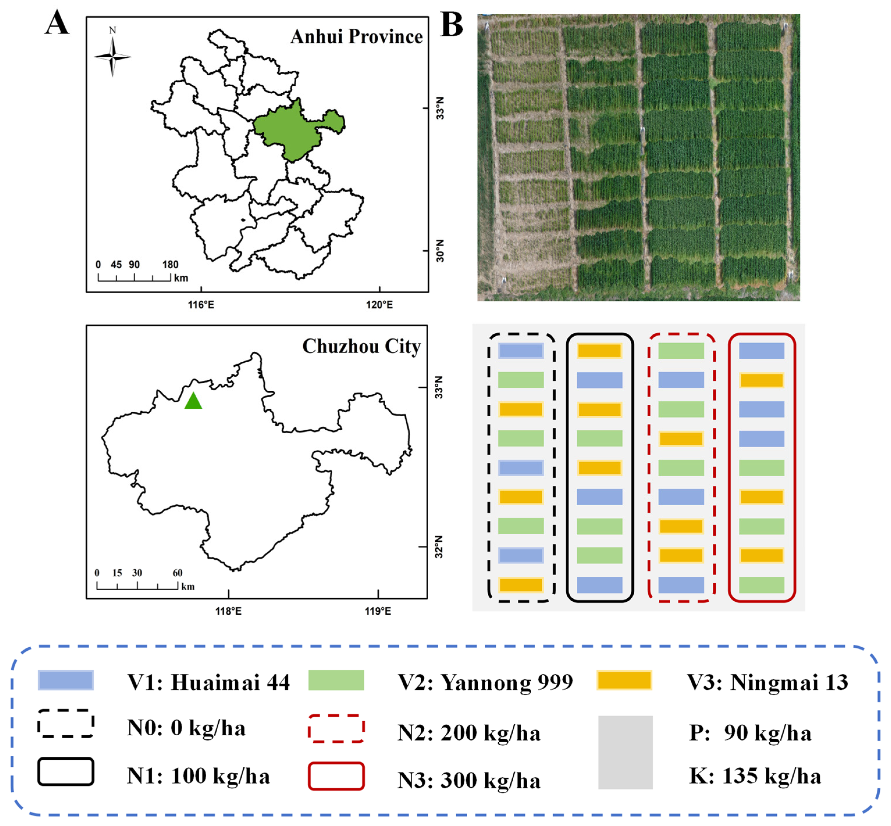 Agriculture 14 02258 g001