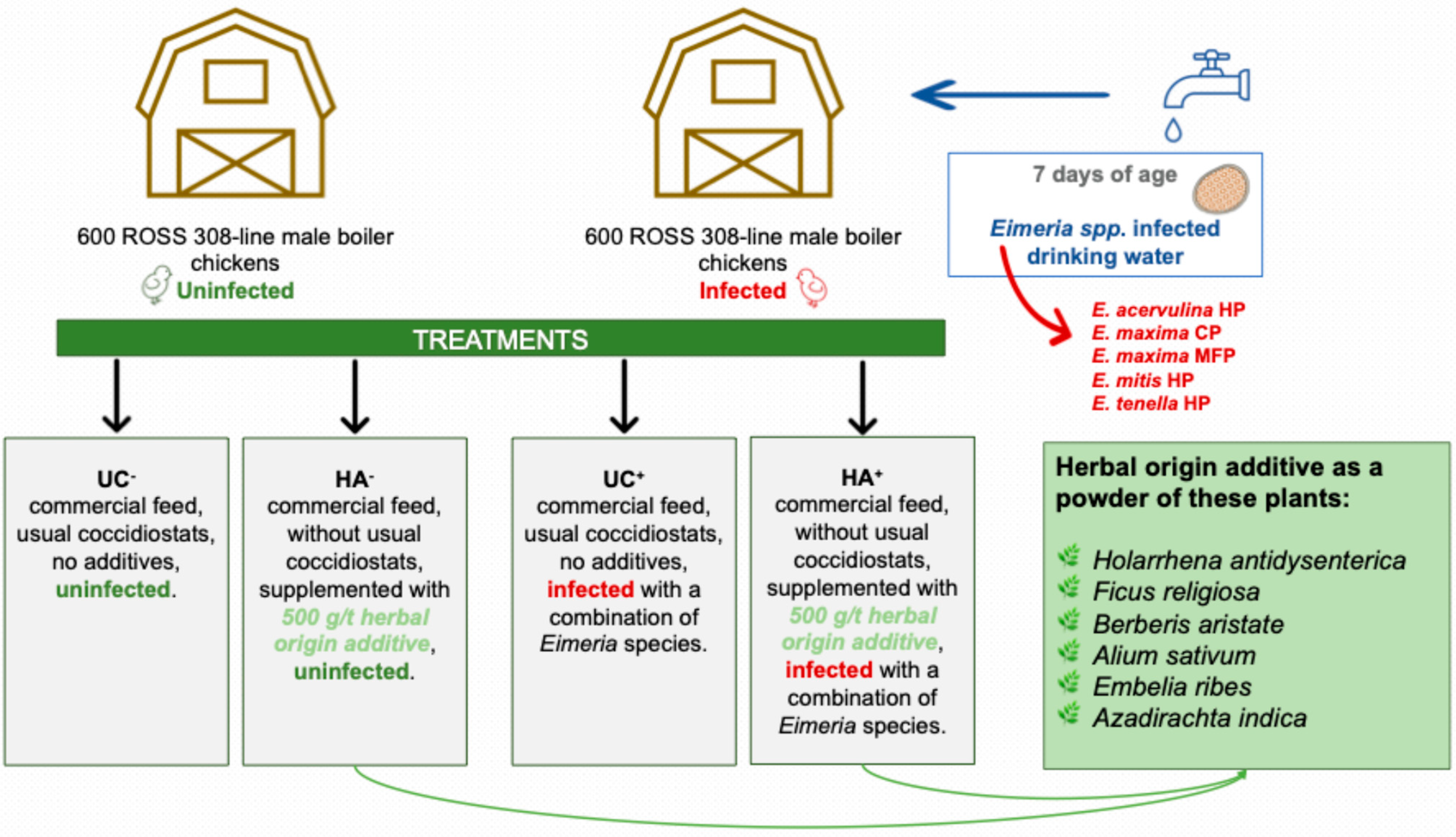 Agriculture 14 02261 g001
