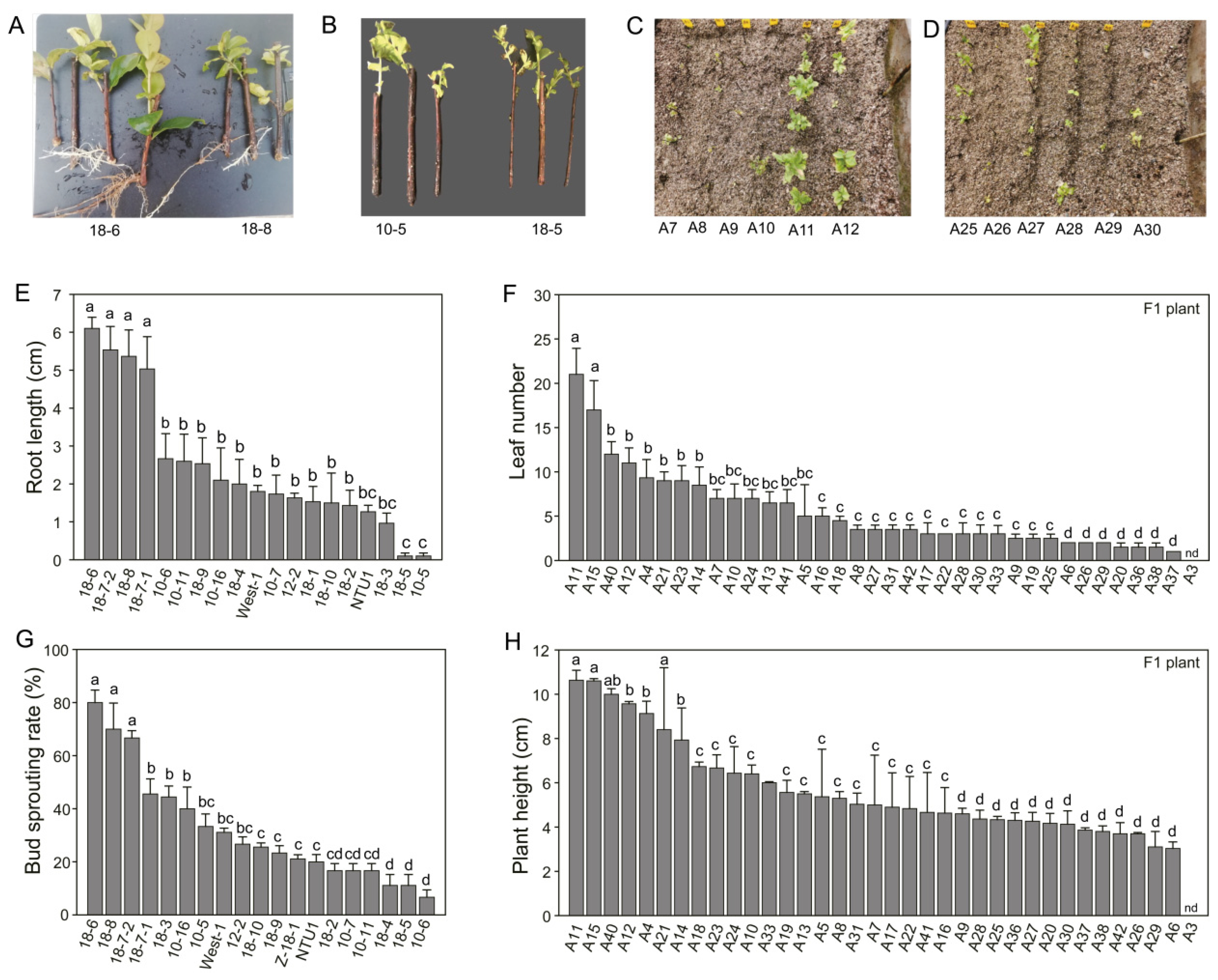 Agriculture 14 02267 g001