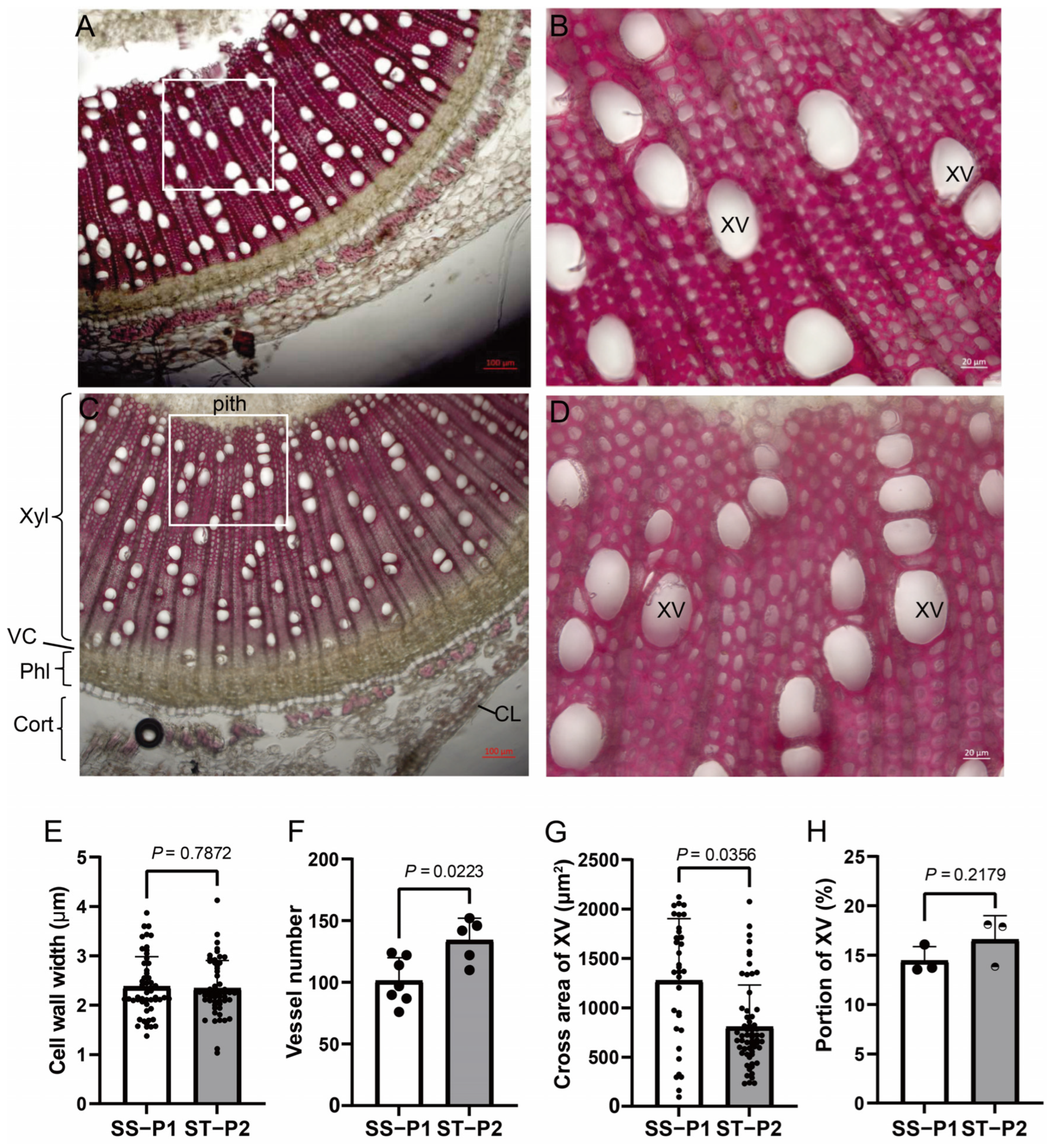Agriculture 14 02267 g002