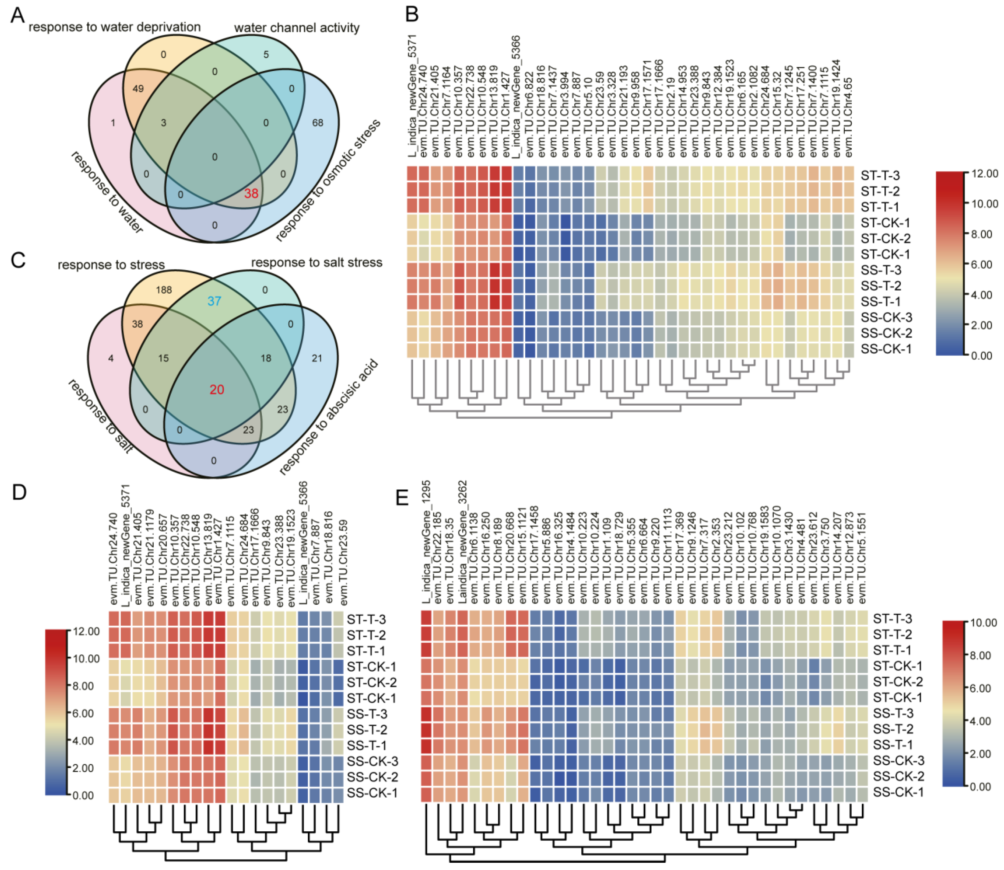Agriculture 14 02267 g005