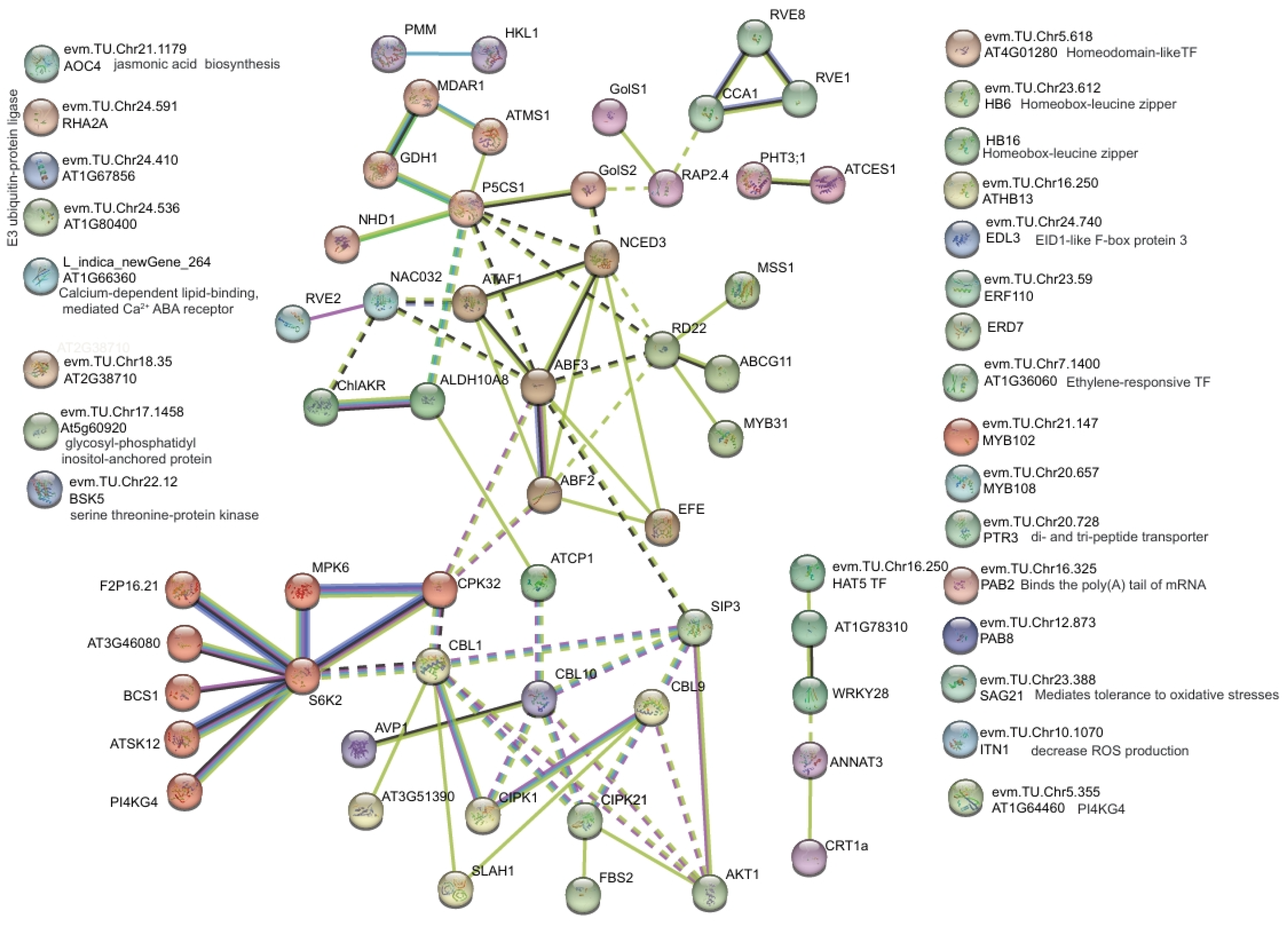 Agriculture 14 02267 g006