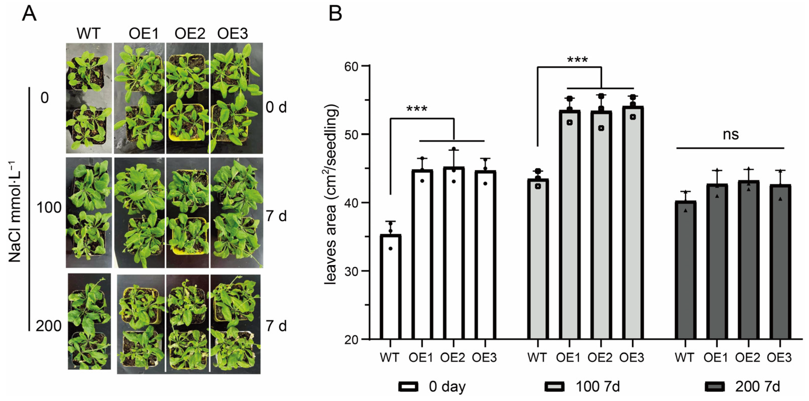 Agriculture 14 02267 g007
