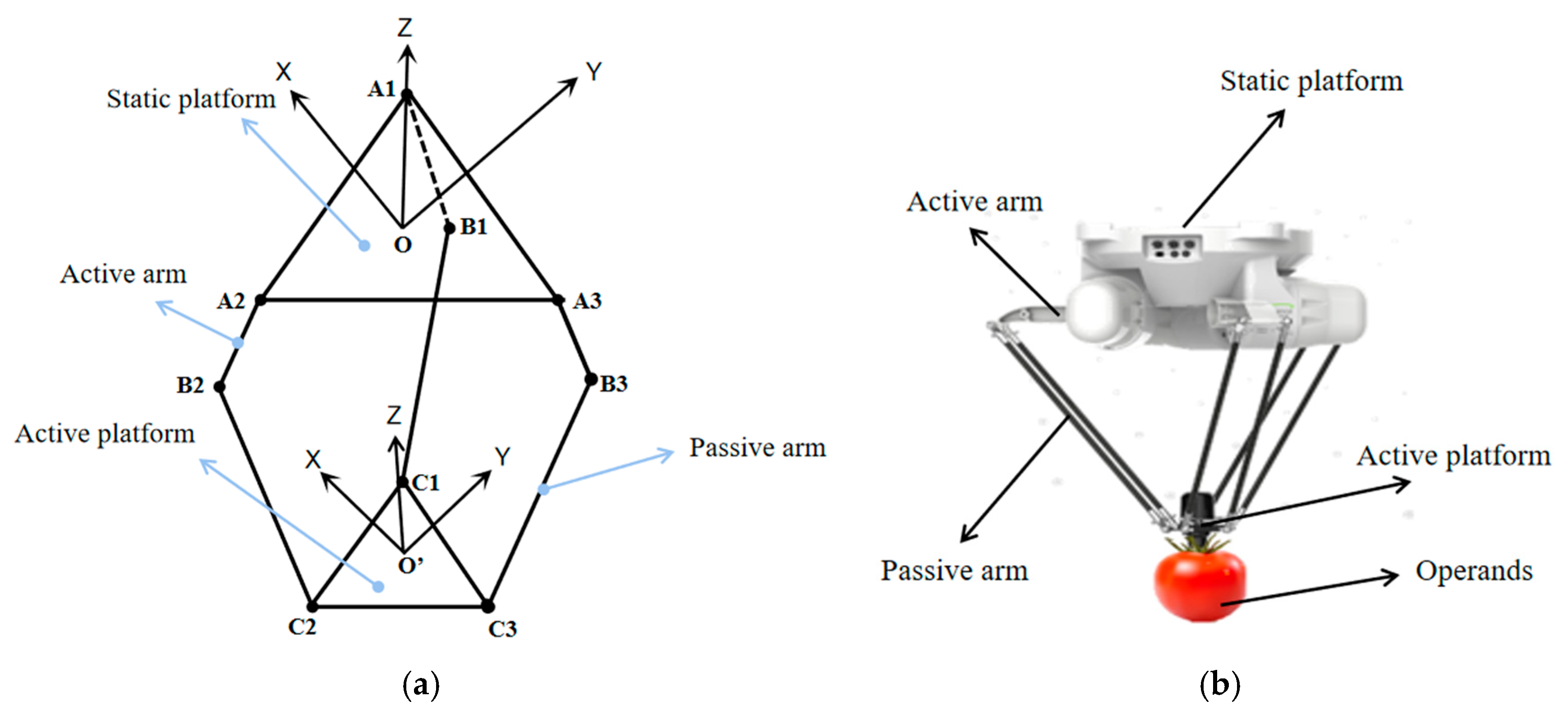 Agriculture 14 02274 g001