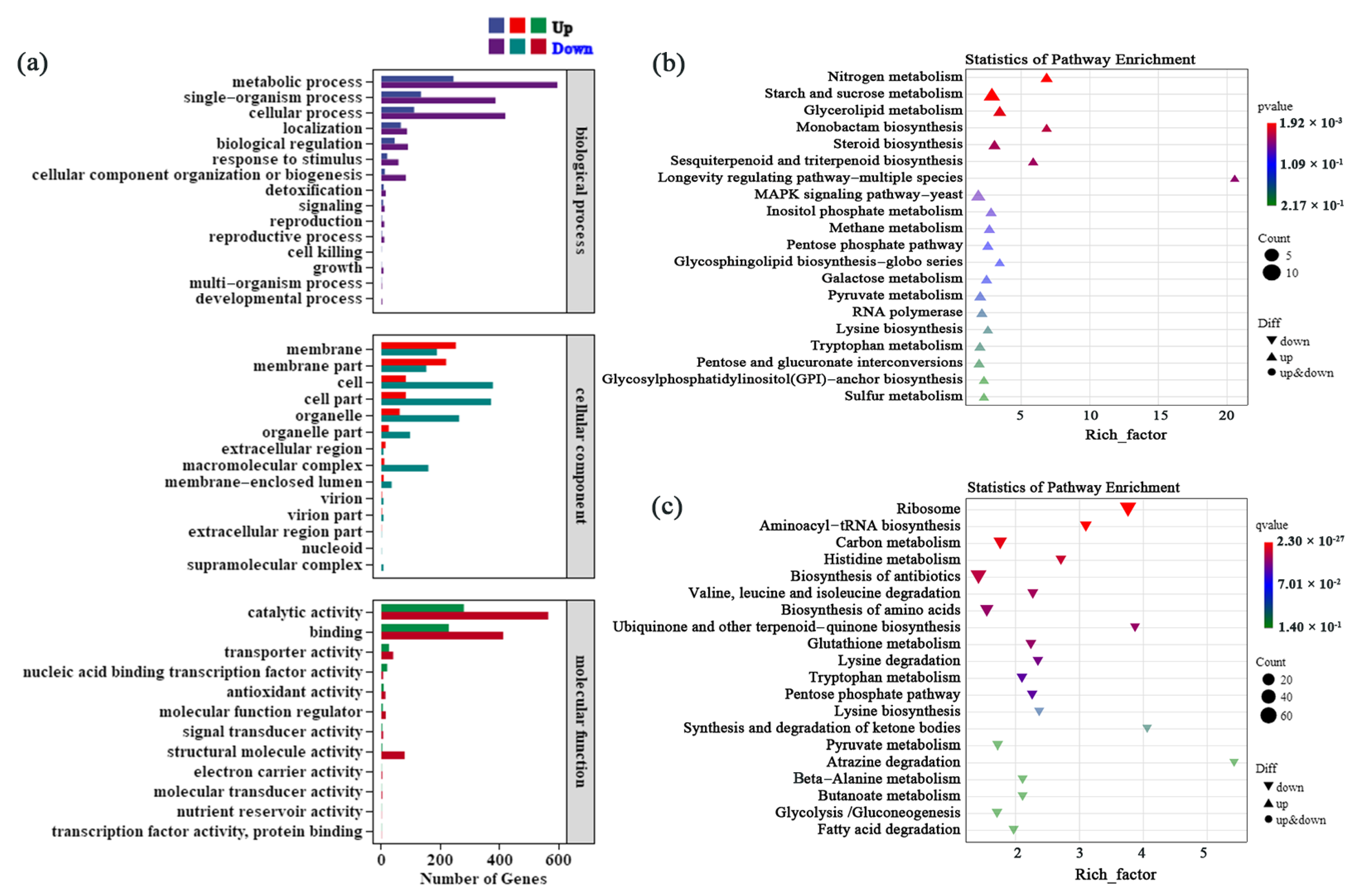 Agriculture 14 02277 g006a
