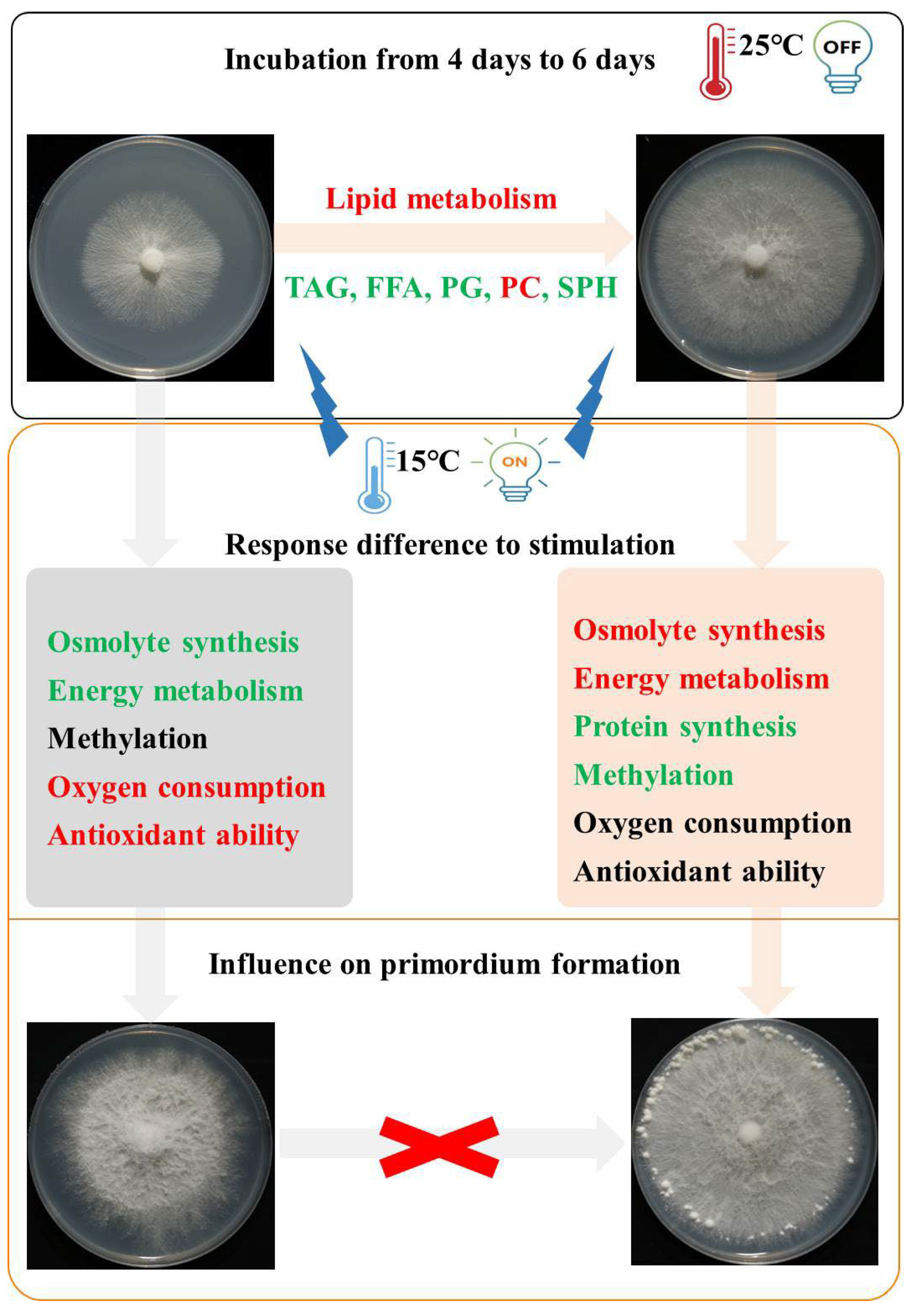 Agriculture 14 02277 g009